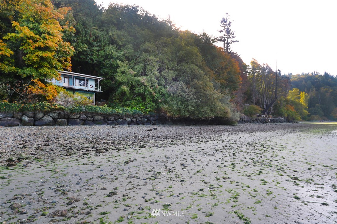 19001 Sunset Road Southwest Vashon, WA 98070 - Photo 2 of 18 Gallery Image 2
