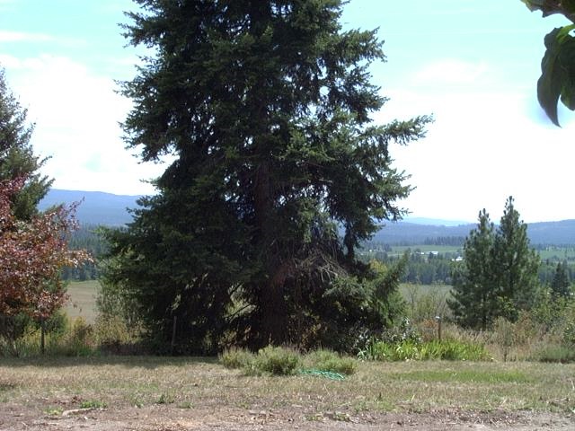 1712 Kirkpatrick Road Elk, WA 99009 - Photo 13 of 20