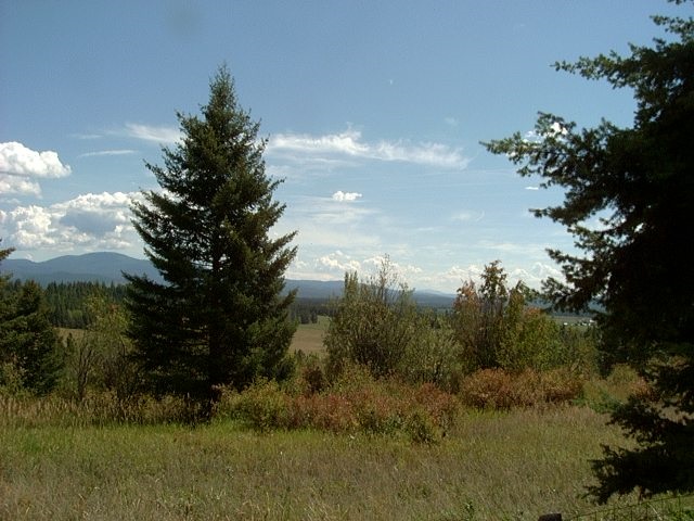 1712 Kirkpatrick Road Elk, WA 99009 - Photo 14 of 20
