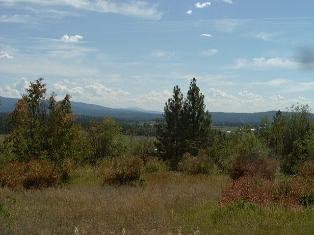 1712 Kirkpatrick Road Elk, WA 99009 - Photo 15 of 20