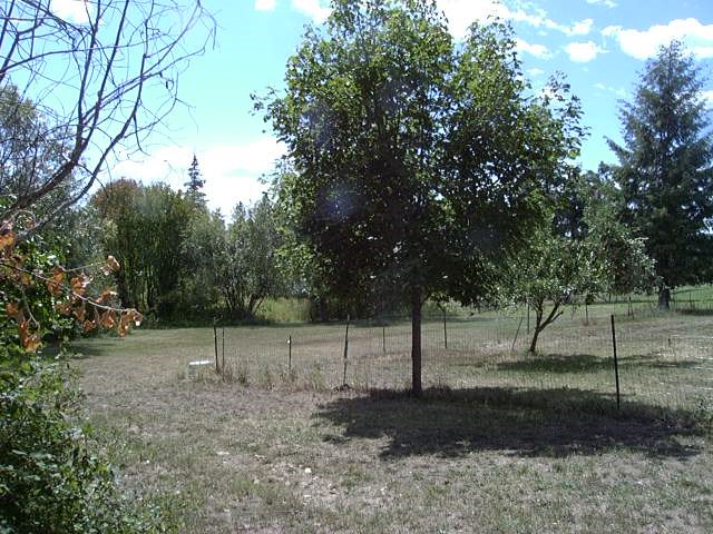 1712 Kirkpatrick Road Elk, WA 99009 - Photo 18 of 20