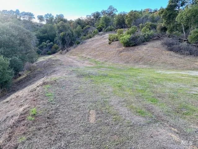 a big yard with lots of green space