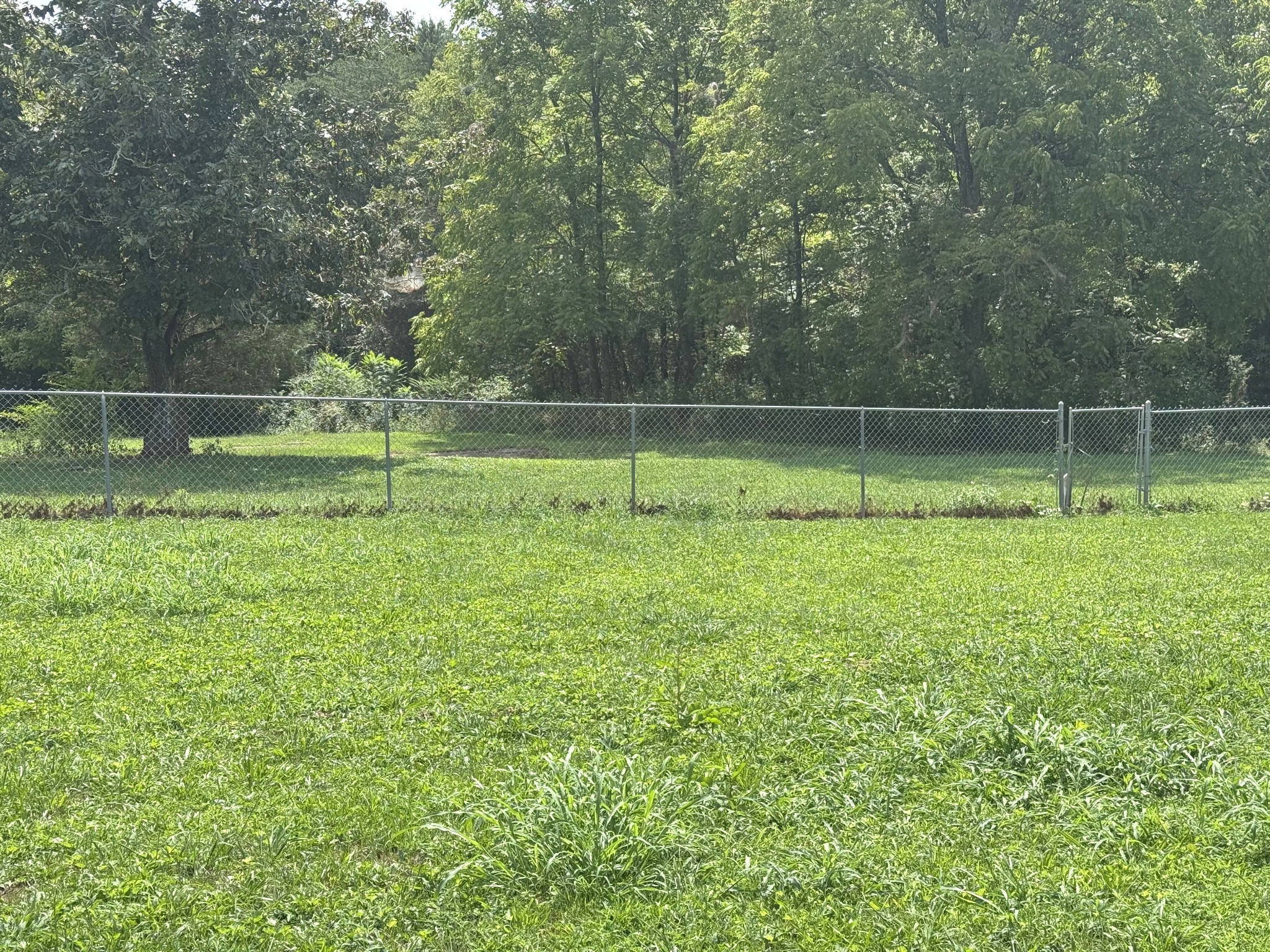 12466 Highway 108 Altamont, TN 37301 - Photo 39 of 40