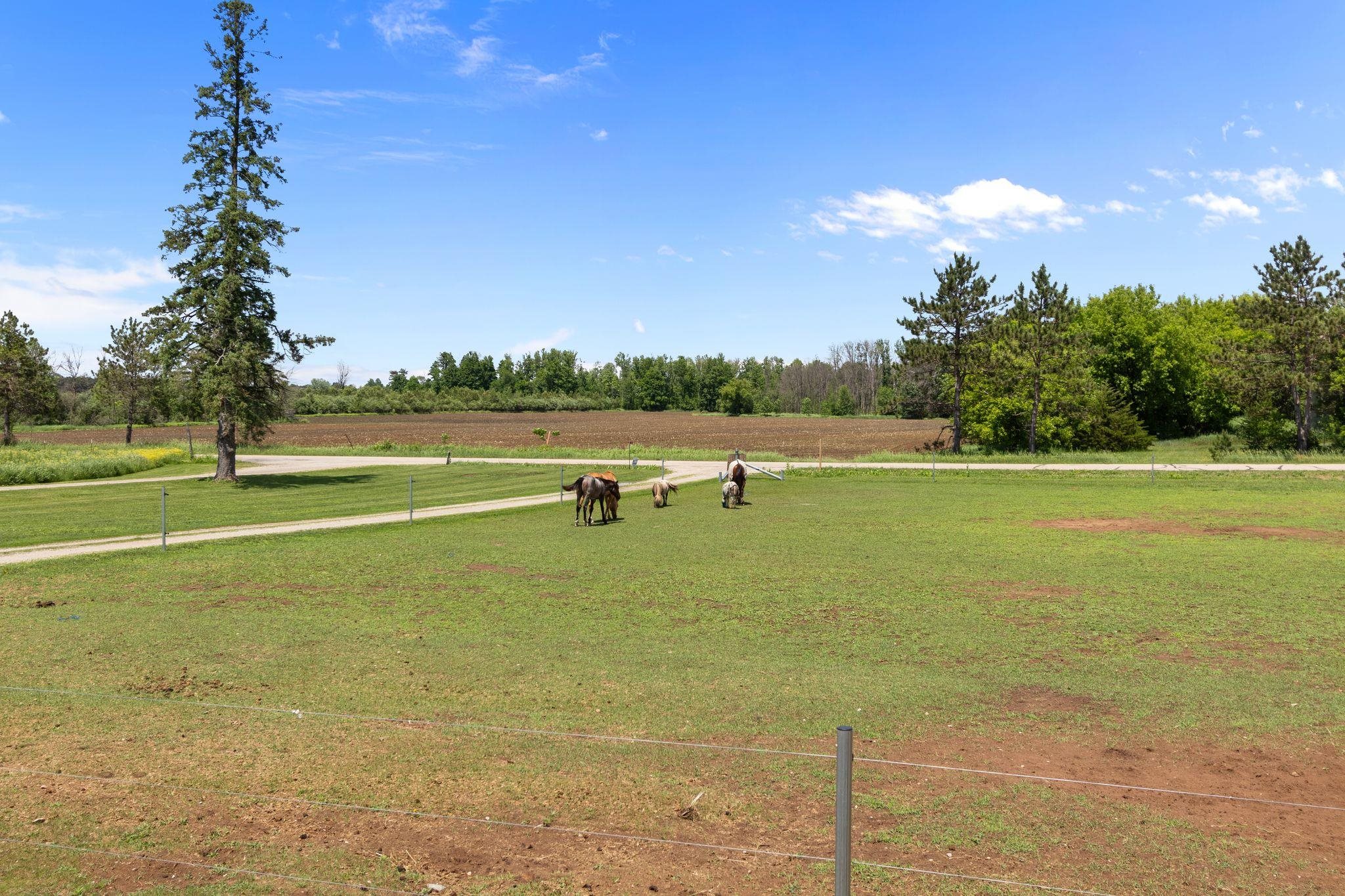 13139 Logan Road Suring, WI 54174 - Photo 53 of 69