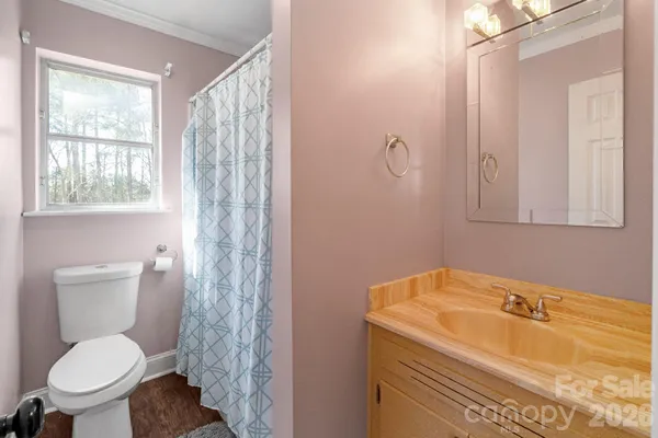 a bathroom with a sink a toilet and shower curtain