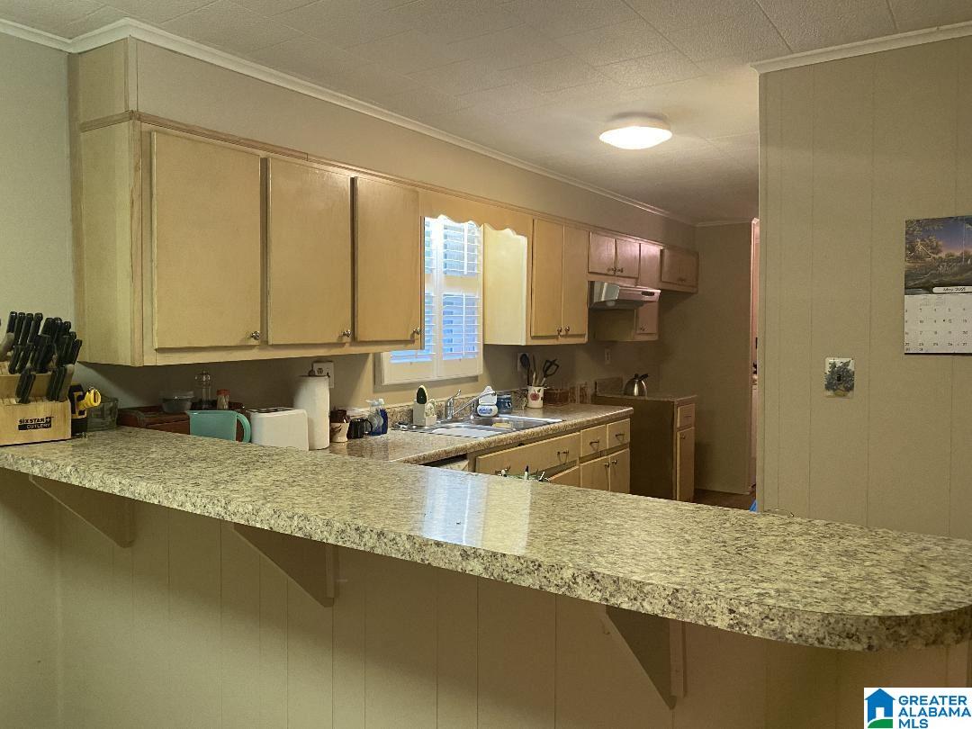 2255 Lost Creek Road Carbon Hill, AL 35549 - Photo 6 of 18