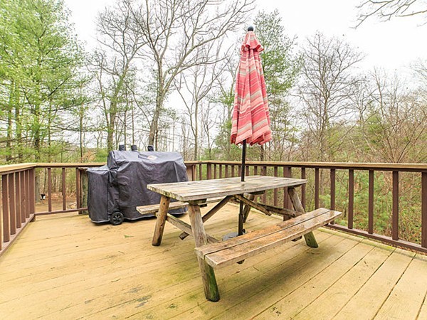 95 Roller Coaster Road Hanson, MA 02341 - Photo 24 of 30 Gallery Image 24