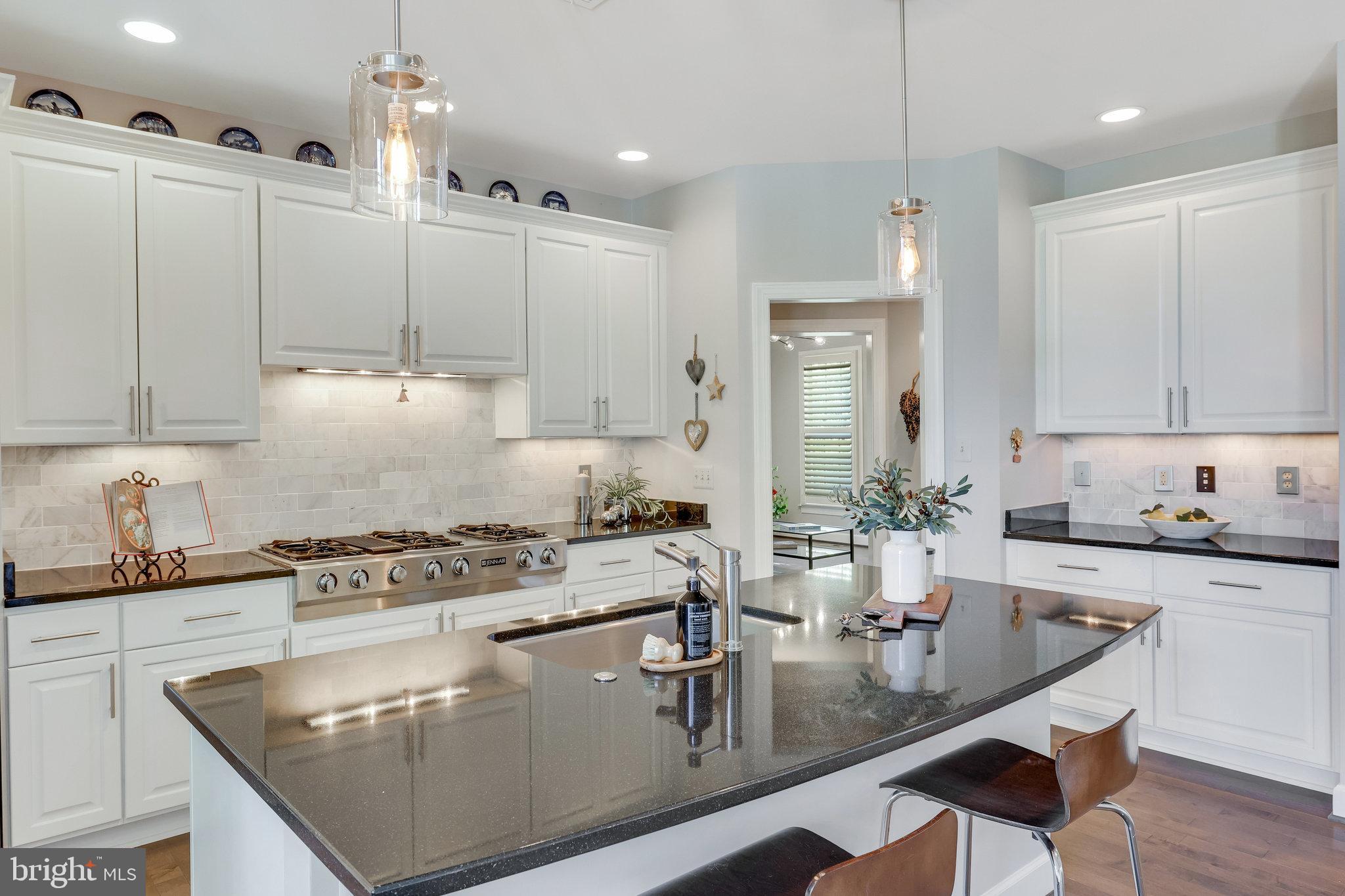 22985 Lois Lane Brambleton, VA 20148 - Photo 20 of 85