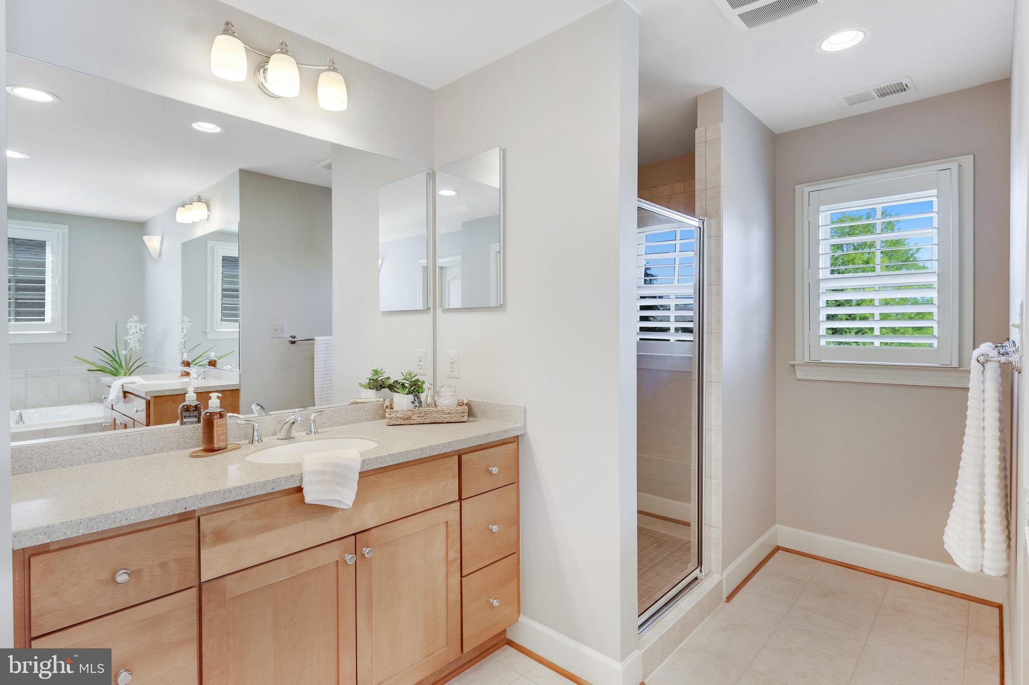 22985 Lois Lane Brambleton, VA 20148 - Photo 39 of 85