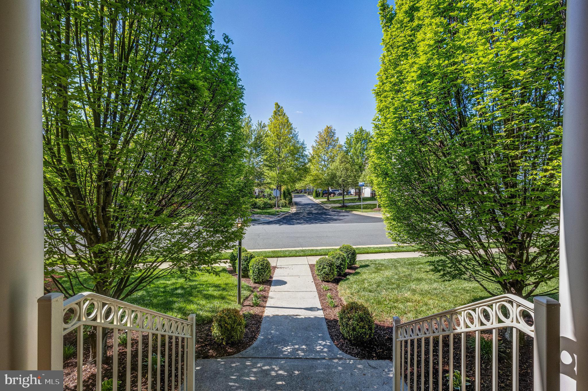 22985 Lois Lane Brambleton, VA 20148 - Photo 6 of 85