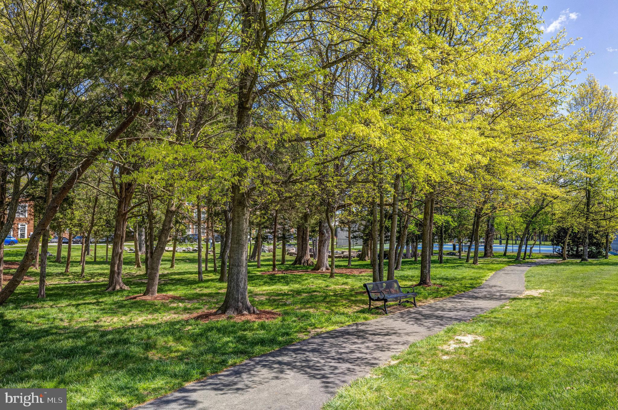 22985 Lois Lane Brambleton, VA 20148 - Photo 83 of 85