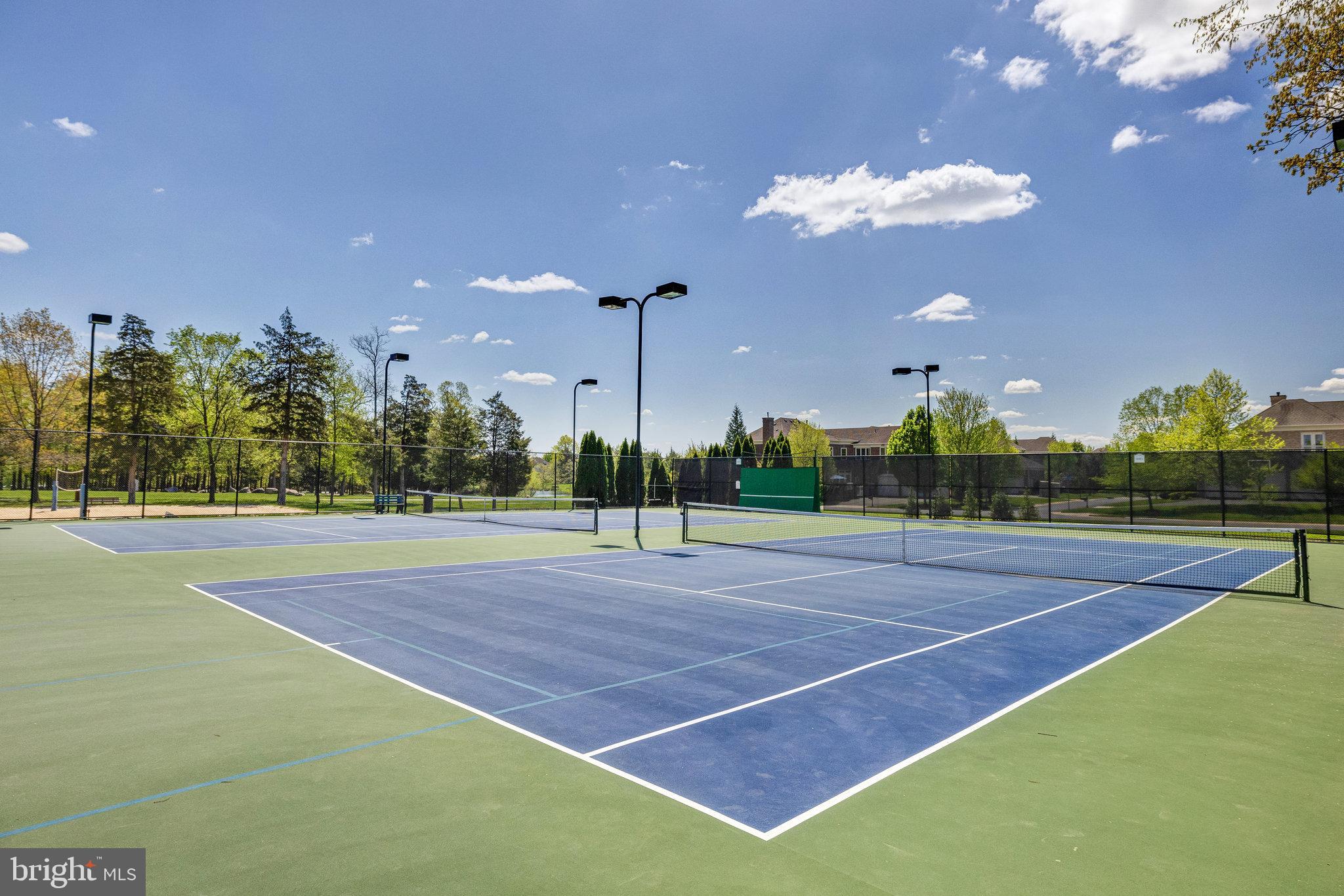 22985 Lois Lane Brambleton, VA 20148 - Photo 84 of 85