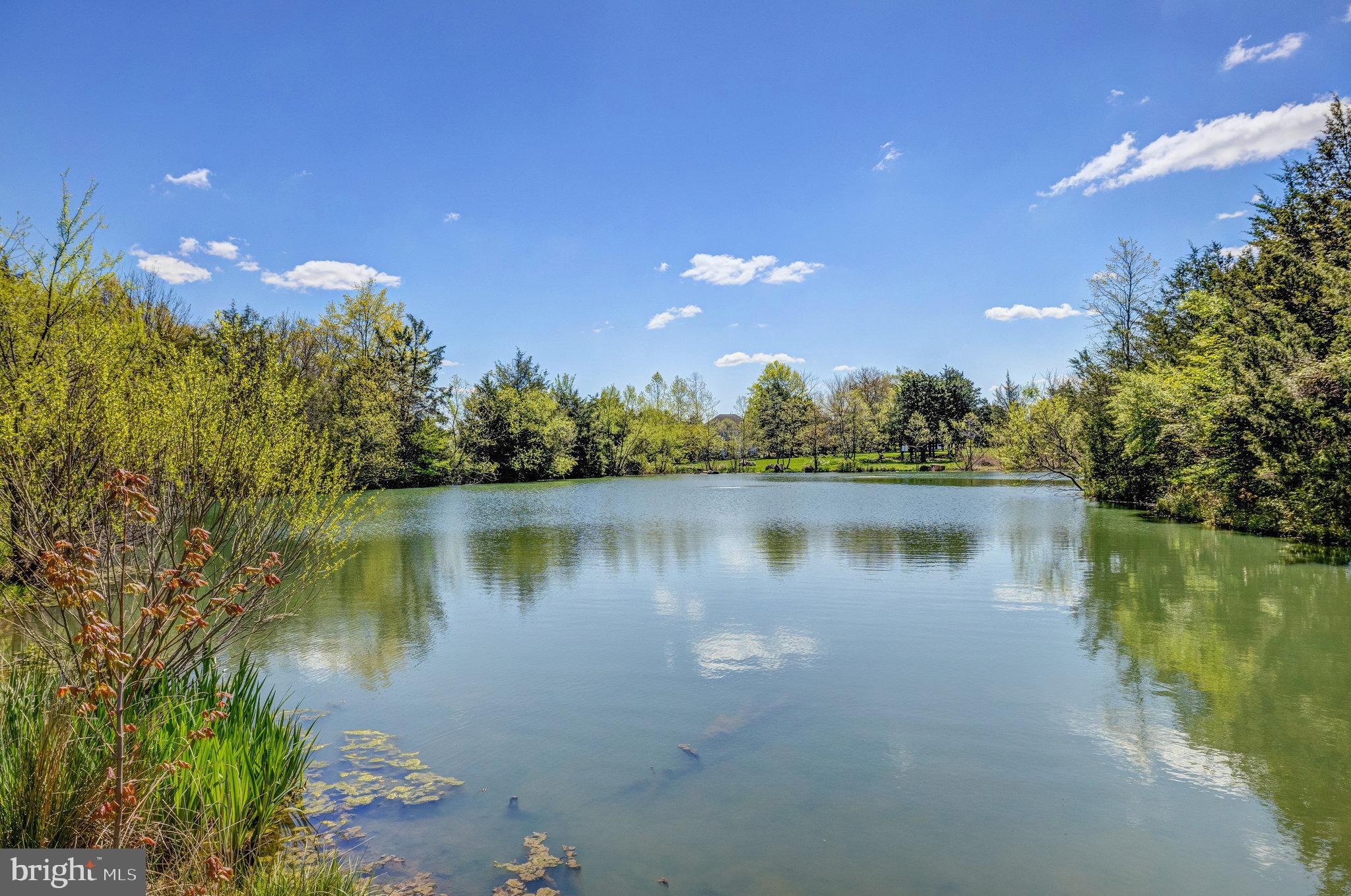 22985 Lois Lane Brambleton, VA 20148 - Photo 85 of 85