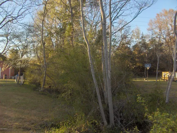 $4,500 | 0 Georgia Avenue, Barnwell, SC 29812