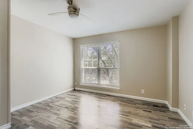 a view of a yard with plants and trees