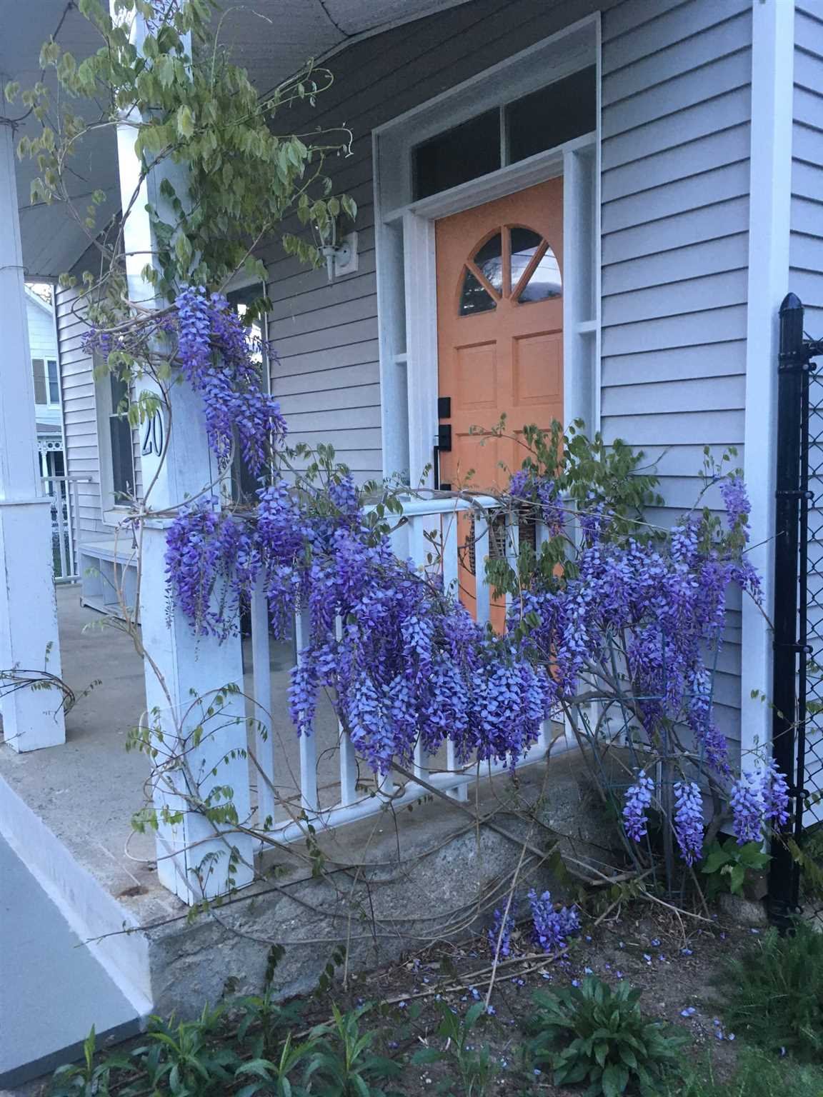 20 John Street Beacon, NY 12508 - Photo 34 of 36 a front view of a house with a yard