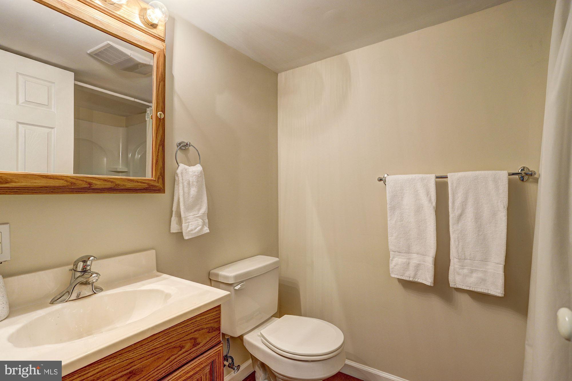 3638 Sharp Road Glenwood, MD 21738 - Photo 36 of 45 Full Bath
