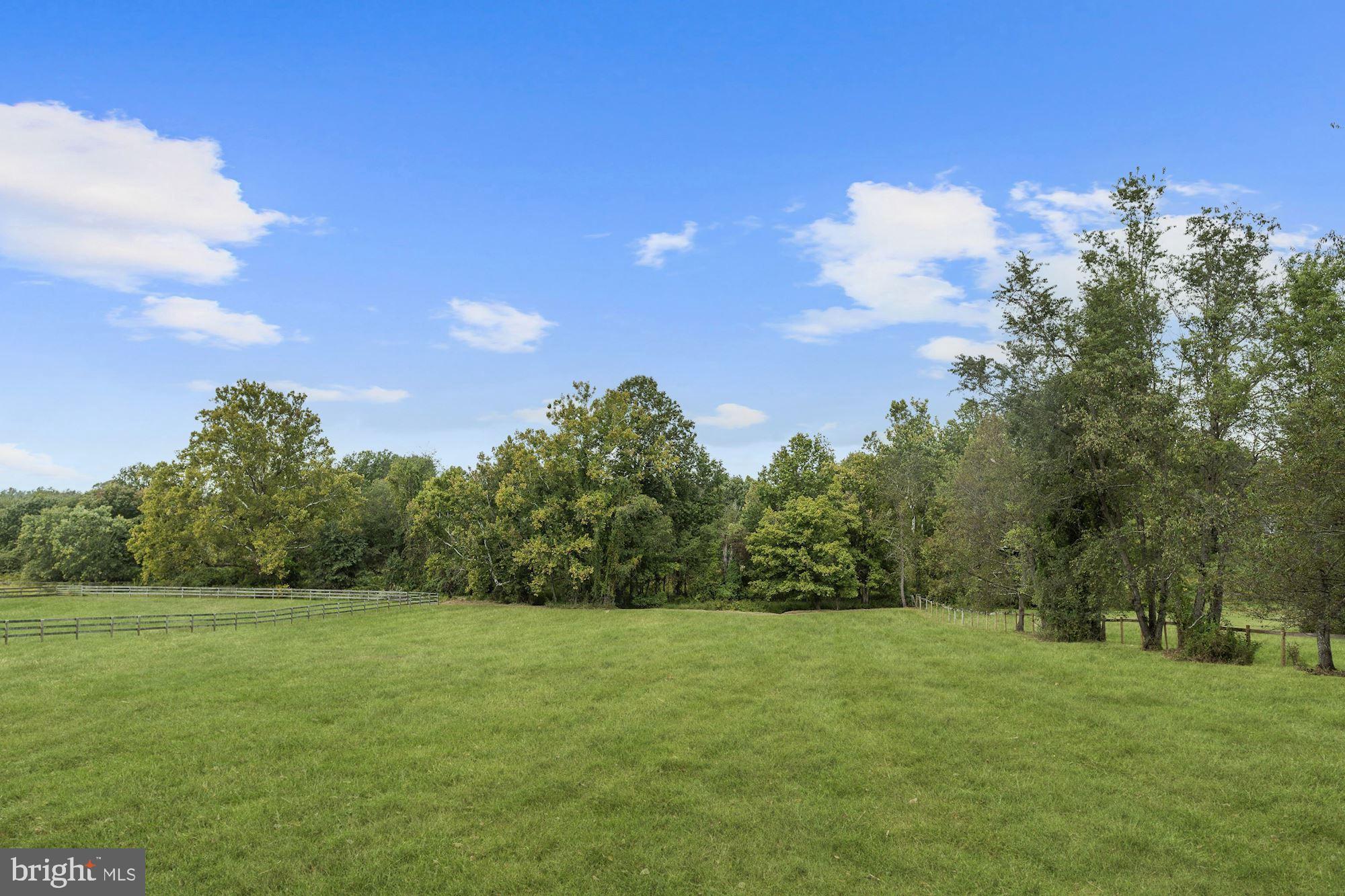 3638 Sharp Road Glenwood, MD 21738 - Photo 39 of 45 Scenic View