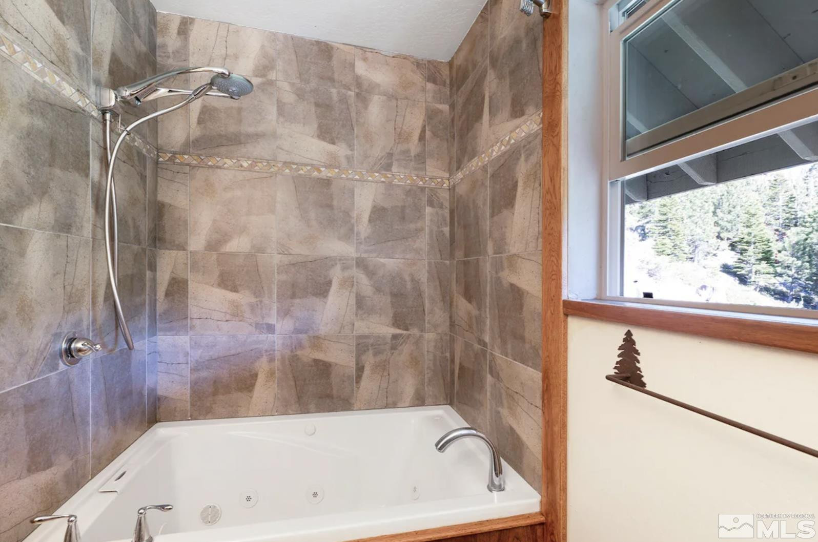 227 South Benjamin Drive, Unit B Stateline, NV 89449 - Photo 17 of 23 Photo 17