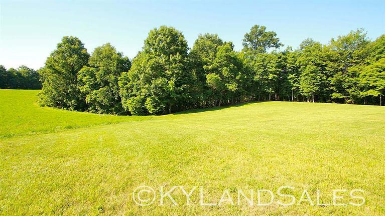 183 Good Paster Road Waynesburg, KY 40489 - Photo 8 of 20 Photo 8
