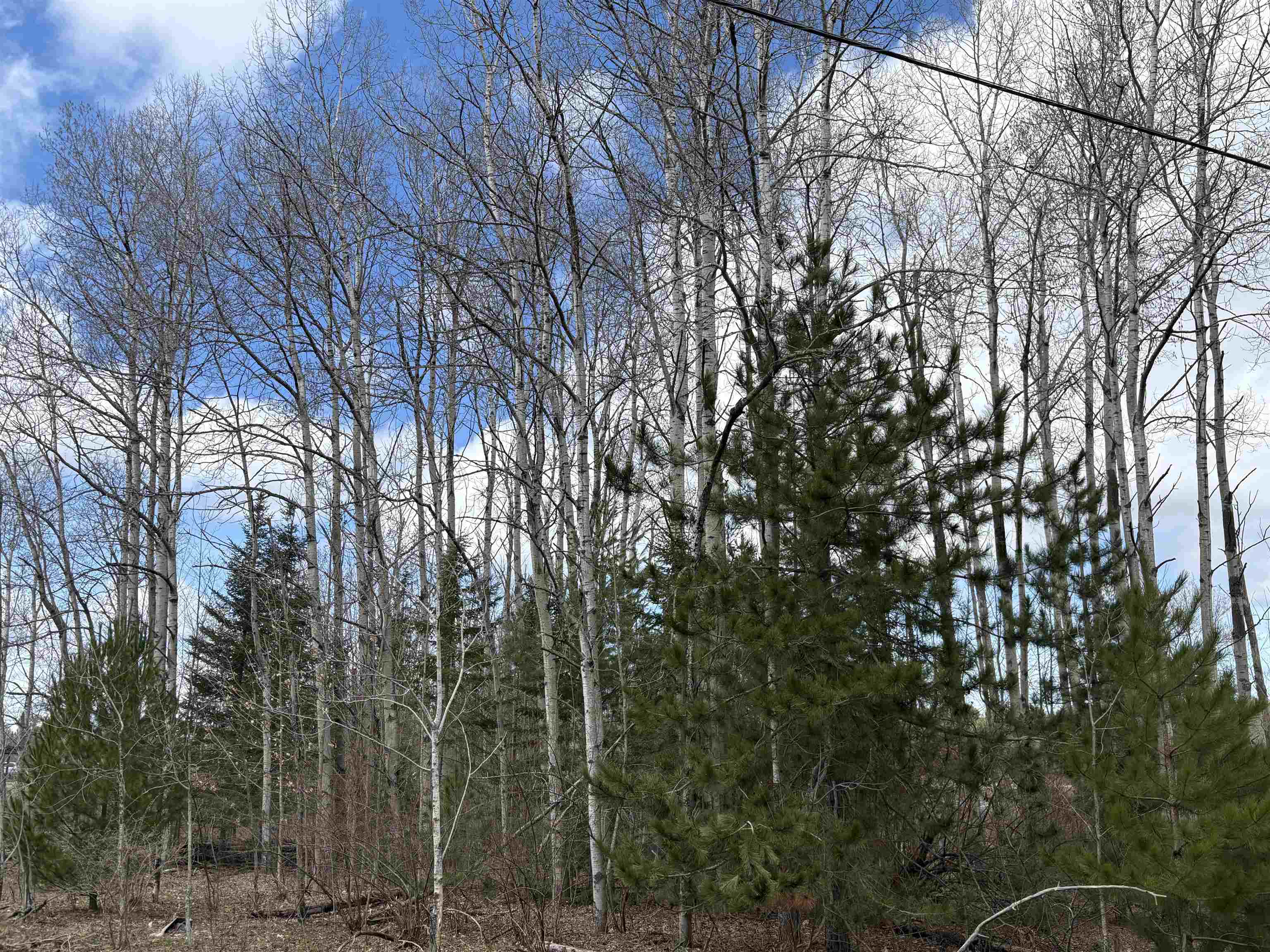 2450 North Marshall Road Beulah, MI 49617 - Photo 1 of 21