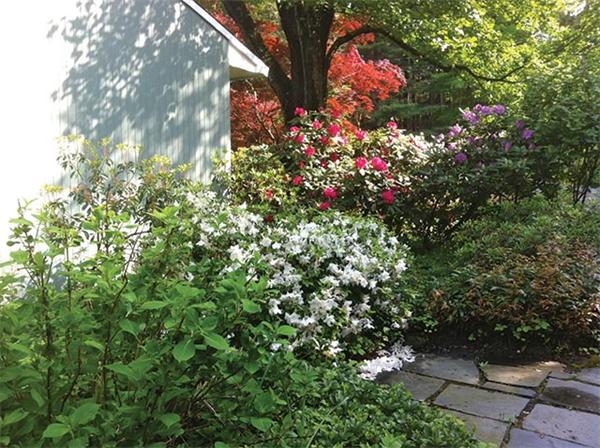 31 Barberry Road Lexington, MA 02421 - Photo 8 of 8
