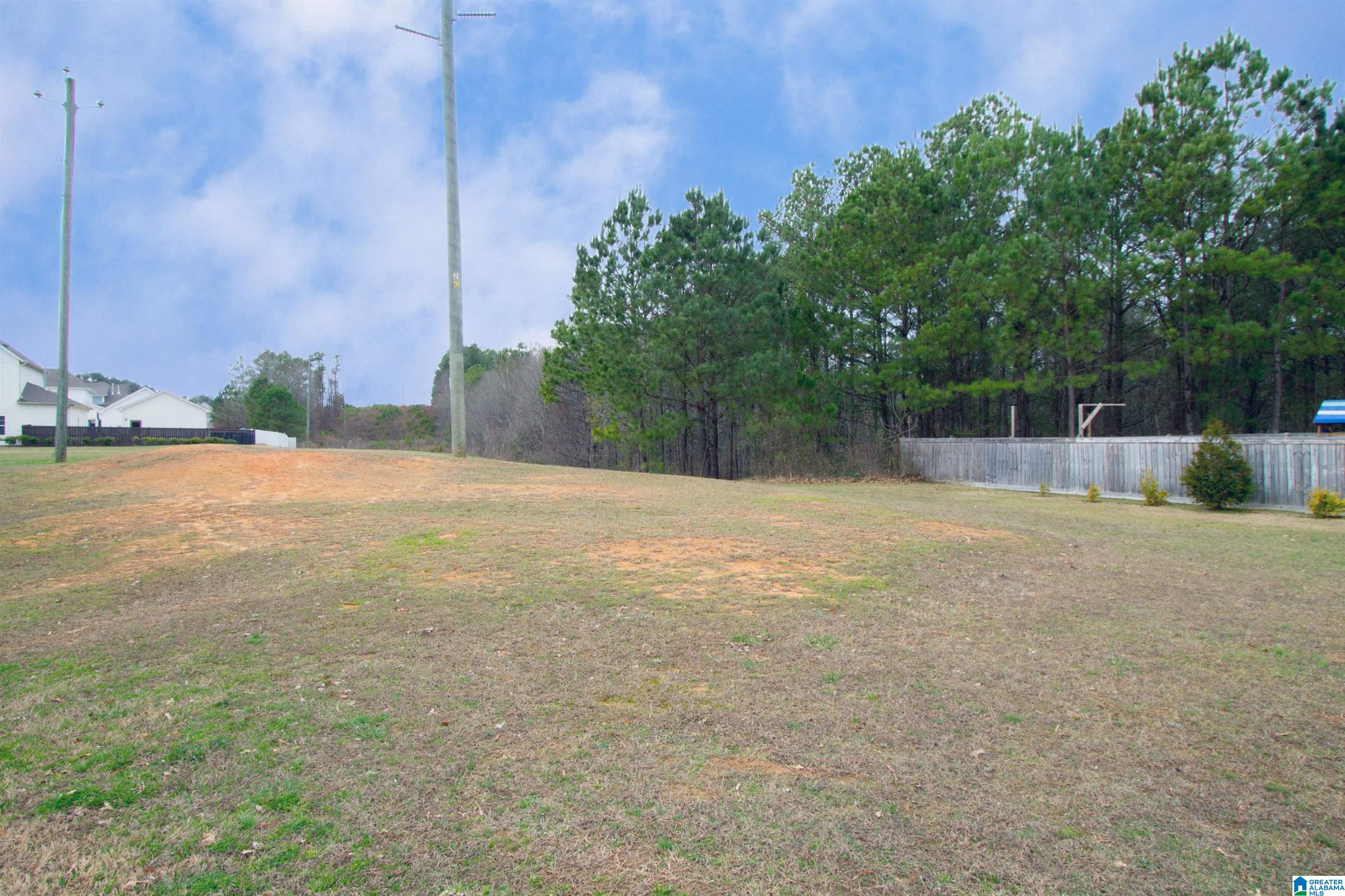 213 Appleford Road Helena, AL 35080 - Photo 31 of 34