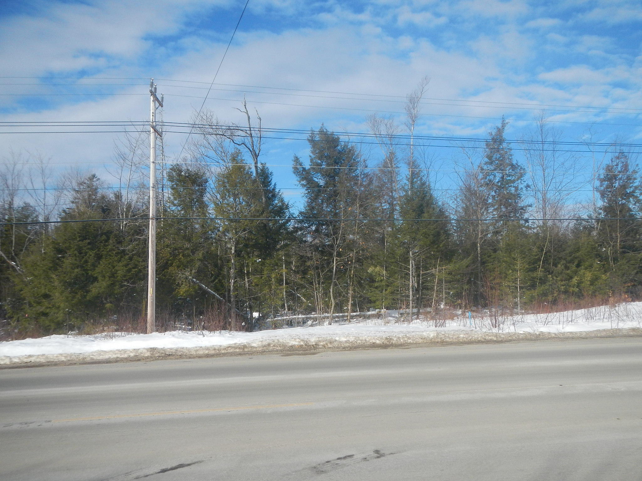 Lot E South Chester Road Chester, ME 04457 - Photo 3 of 4 DSCN7984