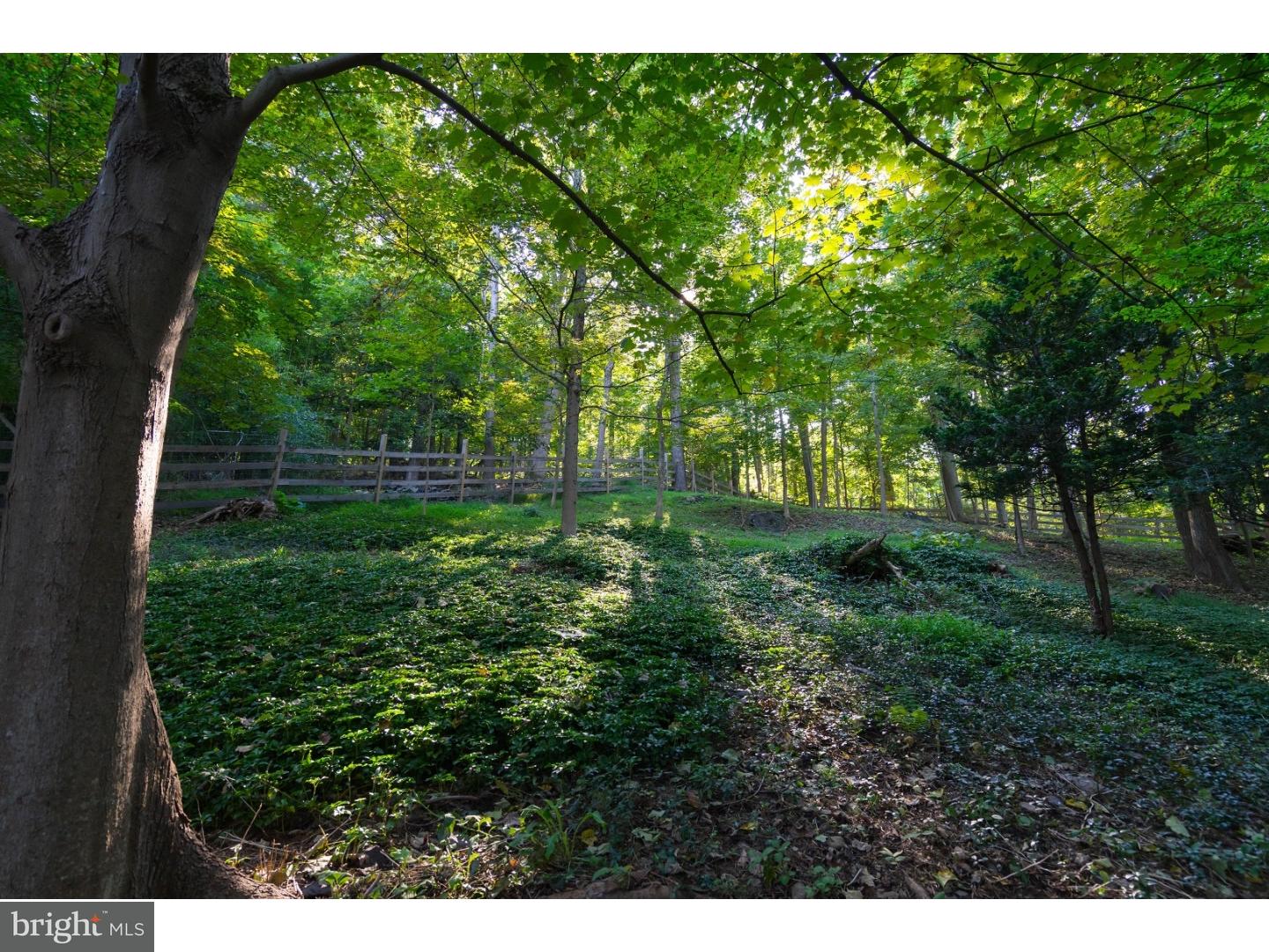 7443 Ferry Road New Hope, PA 18938 - Photo 22 of 25 Back Yard