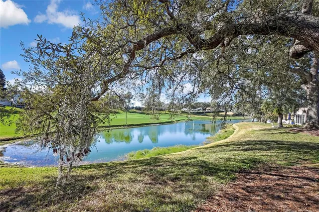 a view of a lake with a yard and large trees