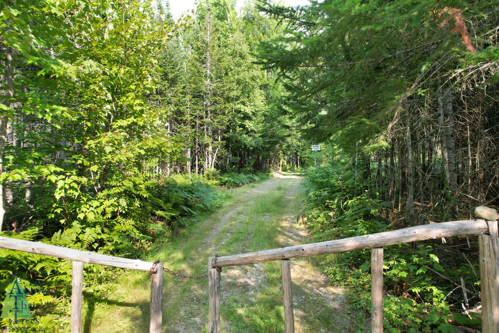 64 Ip Road Stratton, ME 04982 - Photo 24 of 56
