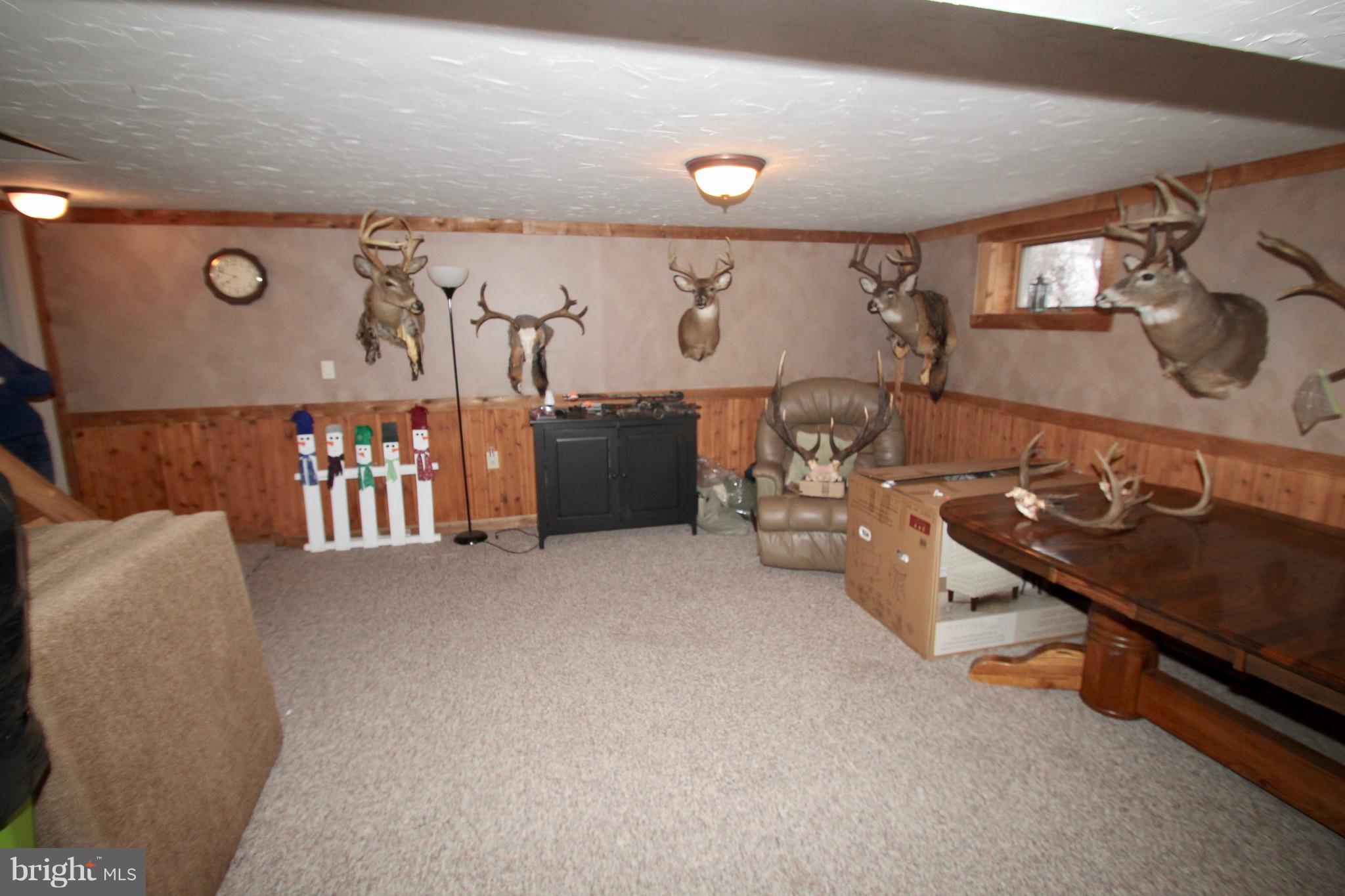 337 Furnace Hill Road Elizabethtown, PA 17022 - Photo 41 of 53 FAMILY ROOM BSMT