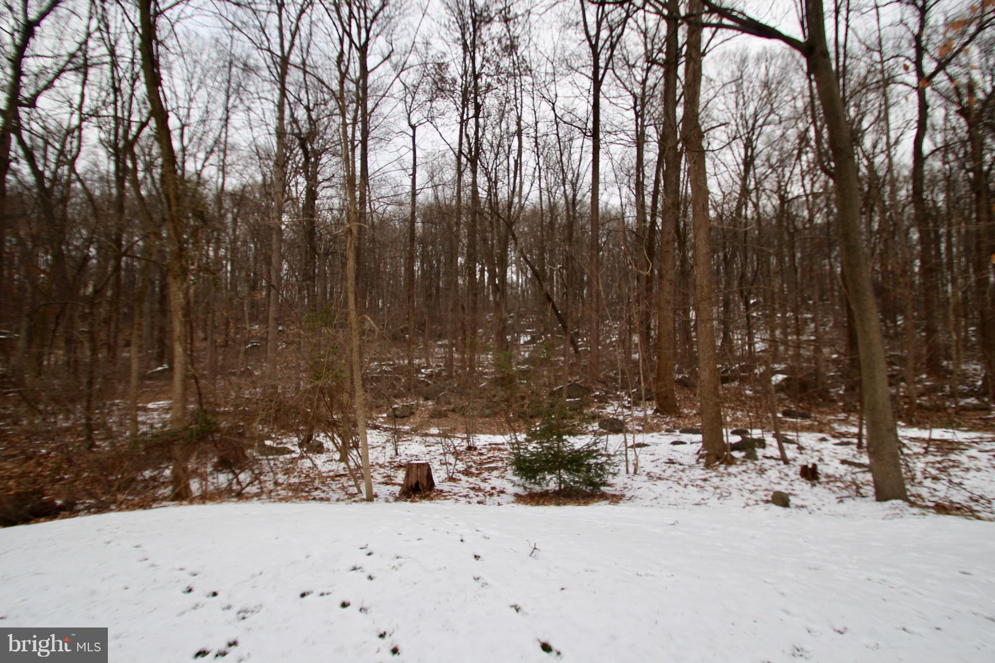 337 Furnace Hill Road Elizabethtown, PA 17022 - Photo 47 of 53 REAR VIEW