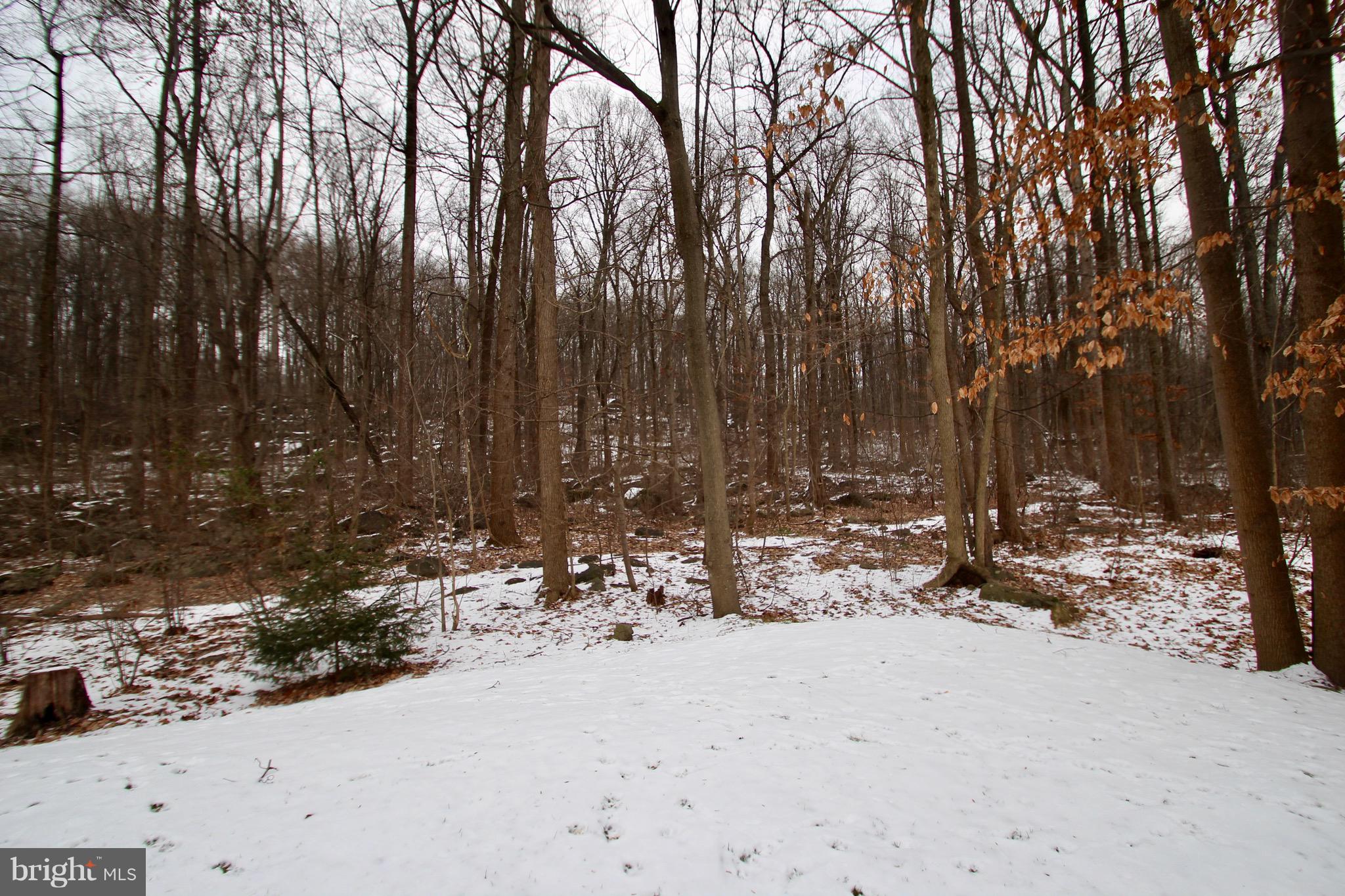 337 Furnace Hill Road Elizabethtown, PA 17022 - Photo 48 of 53 REAR VIEW