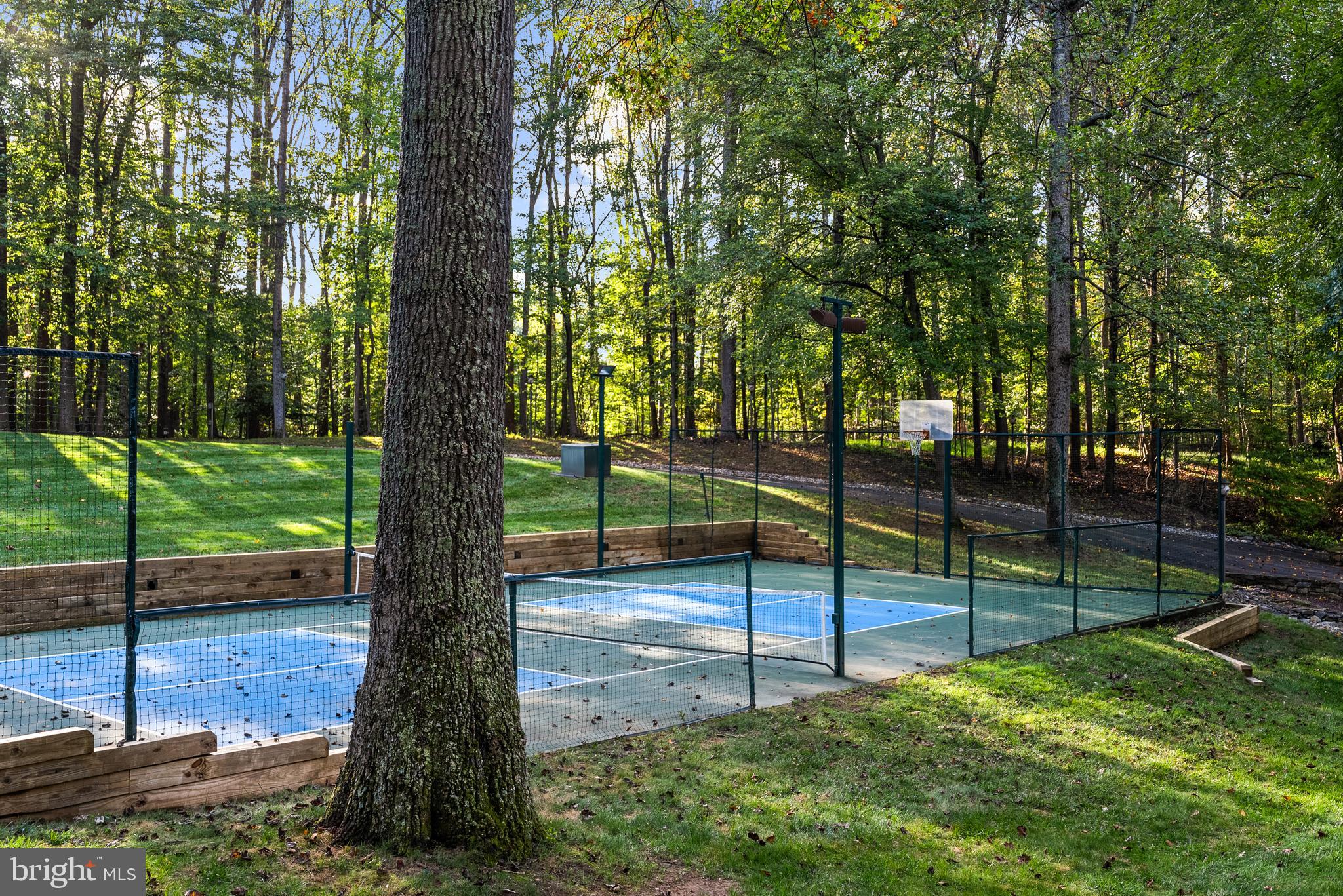 536 Springvale Road Great Falls, VA 22066 - Photo 123 of 139