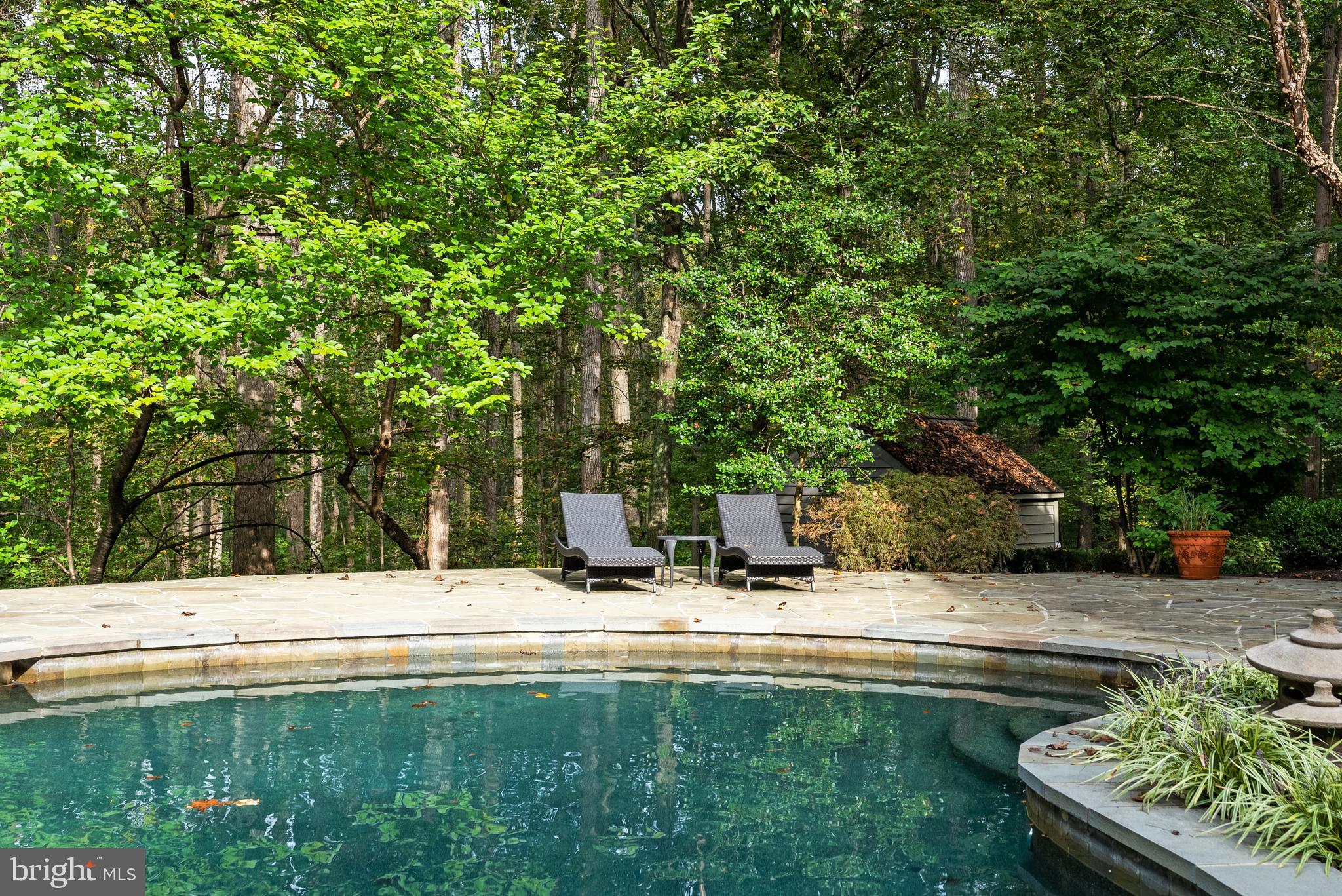 536 Springvale Road Great Falls, VA 22066 - Photo 133 of 139