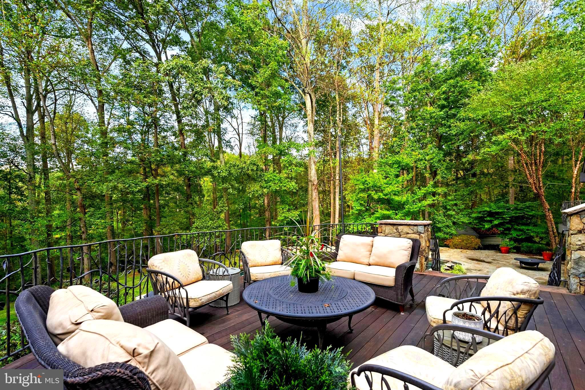 536 Springvale Road Great Falls, VA 22066 - Photo 135 of 139