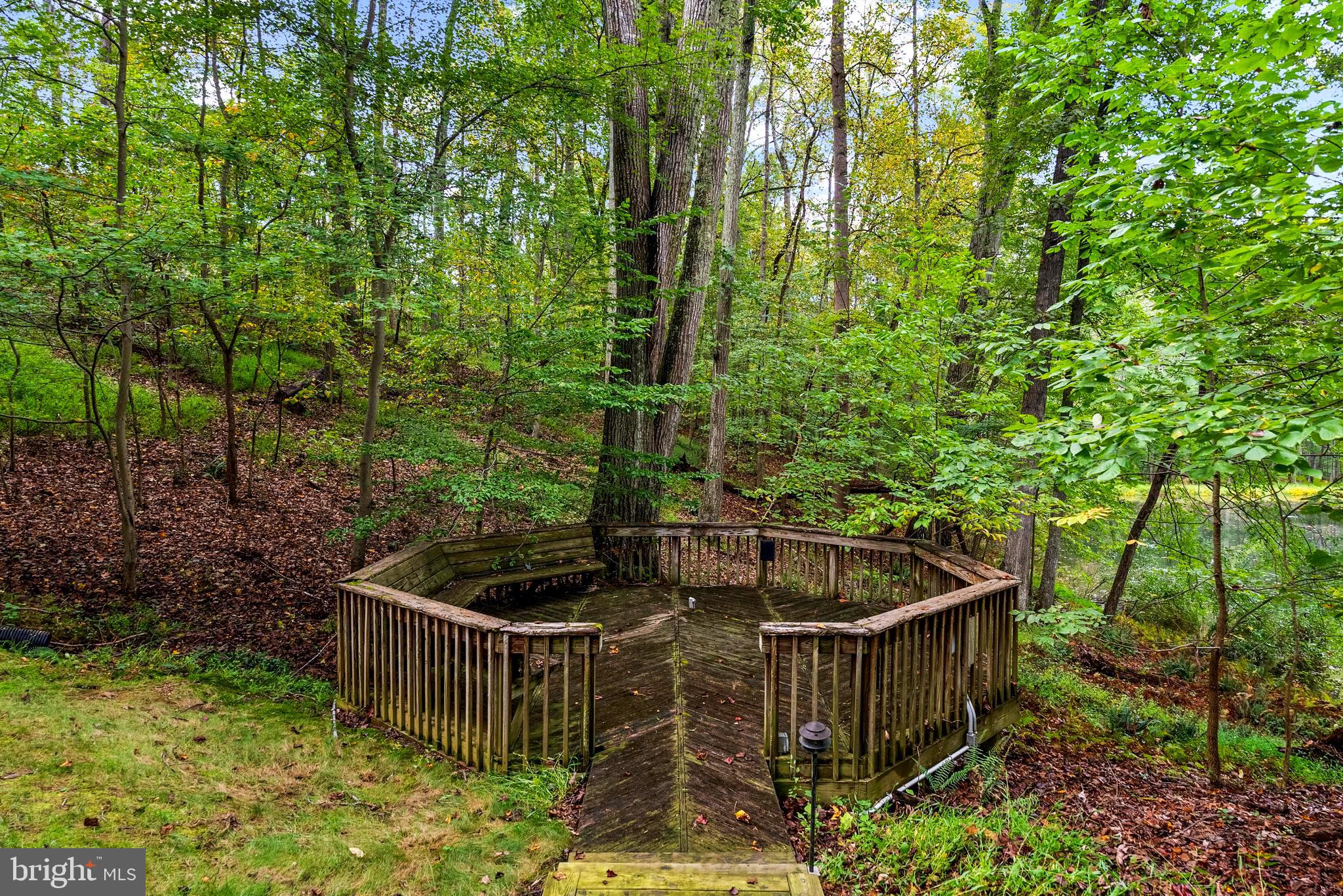 536 Springvale Road Great Falls, VA 22066 - Photo 137 of 139