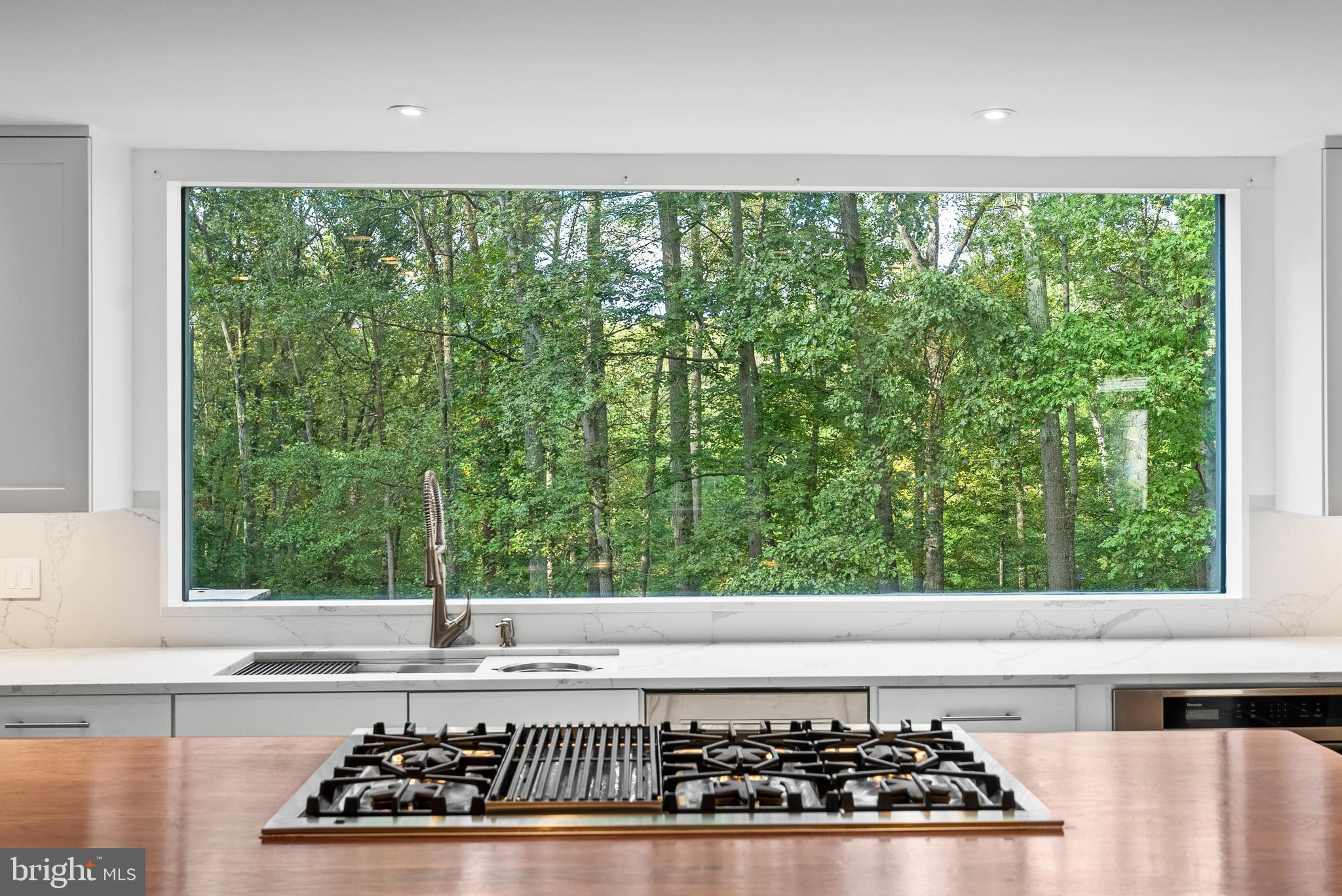 536 Springvale Road Great Falls, VA 22066 - Photo 18 of 139