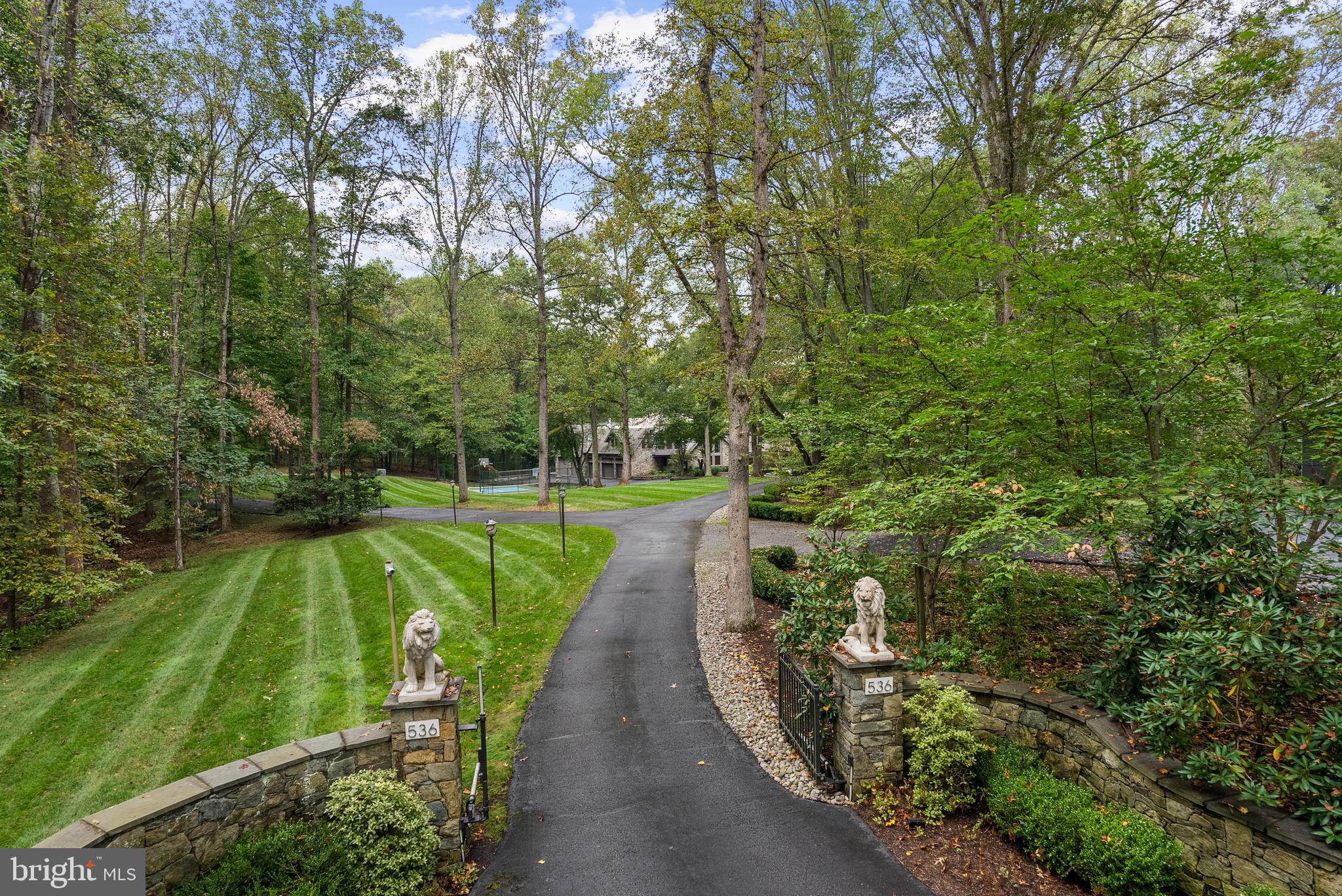 536 Springvale Road Great Falls, VA 22066 - Photo 2 of 139