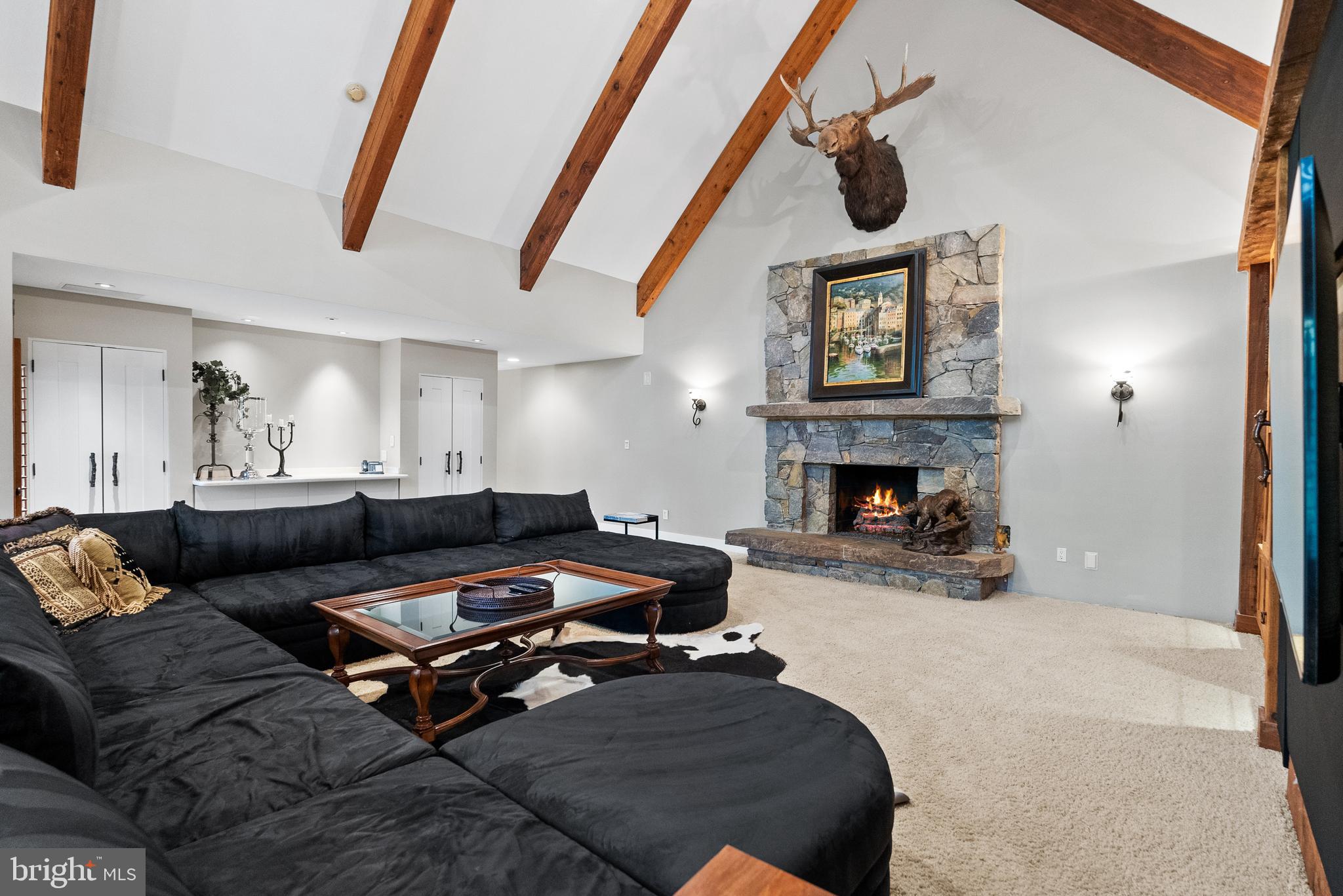 536 Springvale Road Great Falls, VA 22066 - Photo 40 of 139