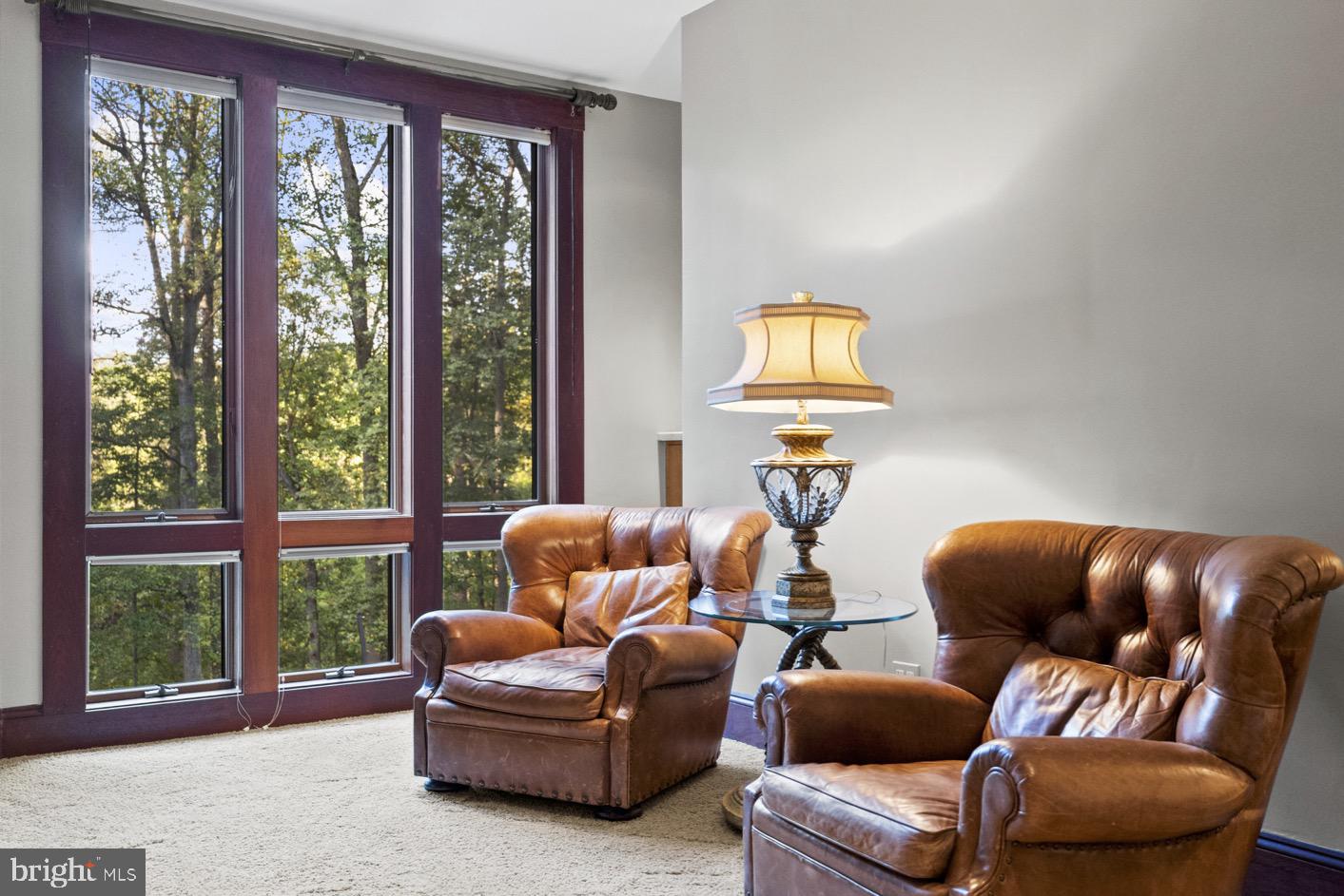 536 Springvale Road Great Falls, VA 22066 - Photo 45 of 139 a living room with furniture and a window