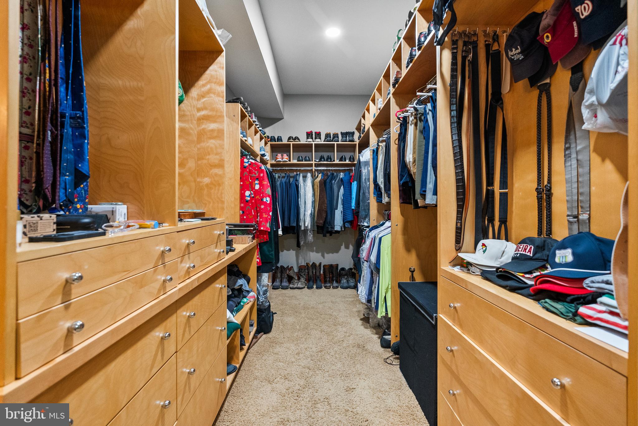 536 Springvale Road Great Falls, VA 22066 - Photo 56 of 139 Safe Room Hidden in here!