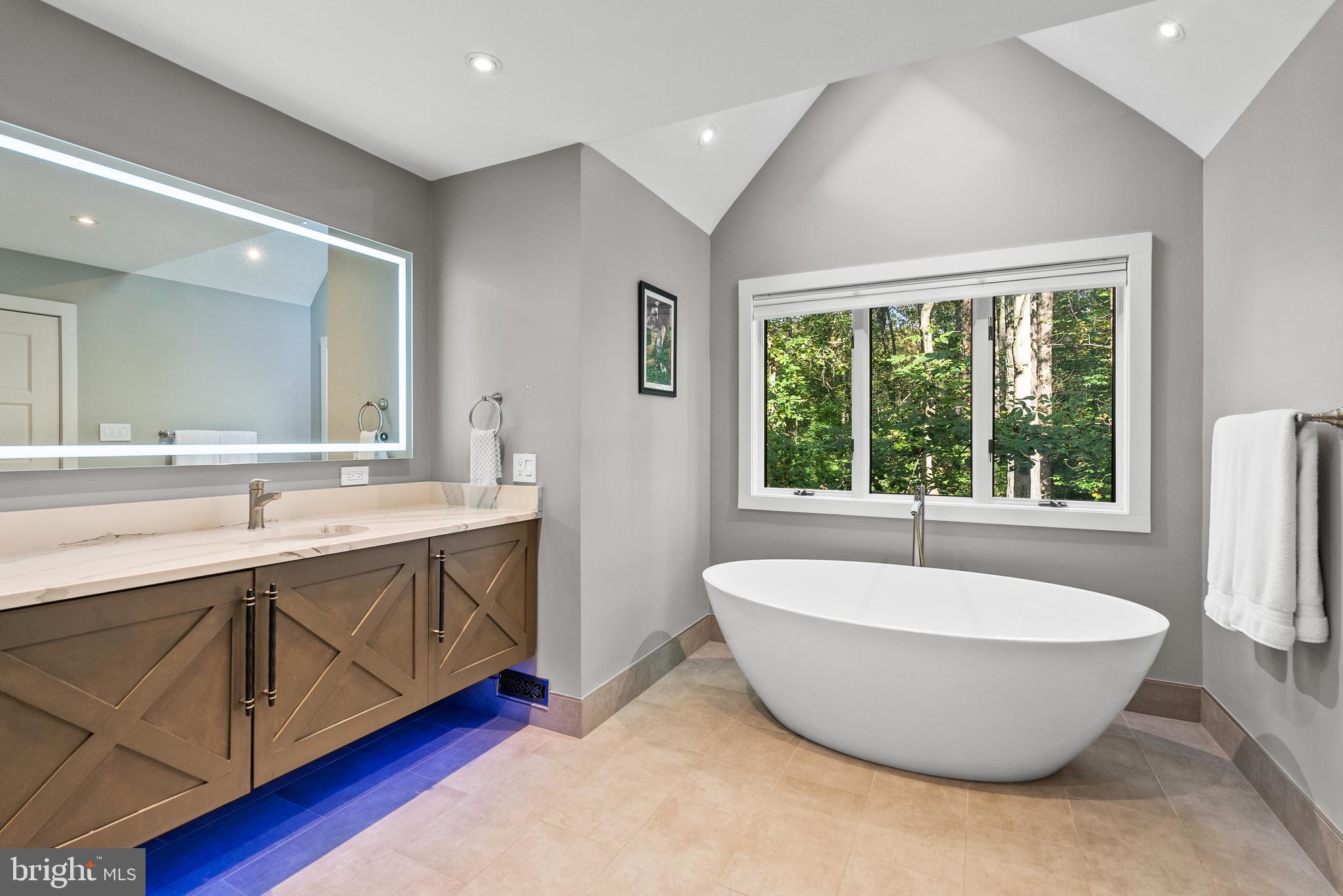 536 Springvale Road Great Falls, VA 22066 - Photo 67 of 139 a spacious bathroom with a large tub and sink