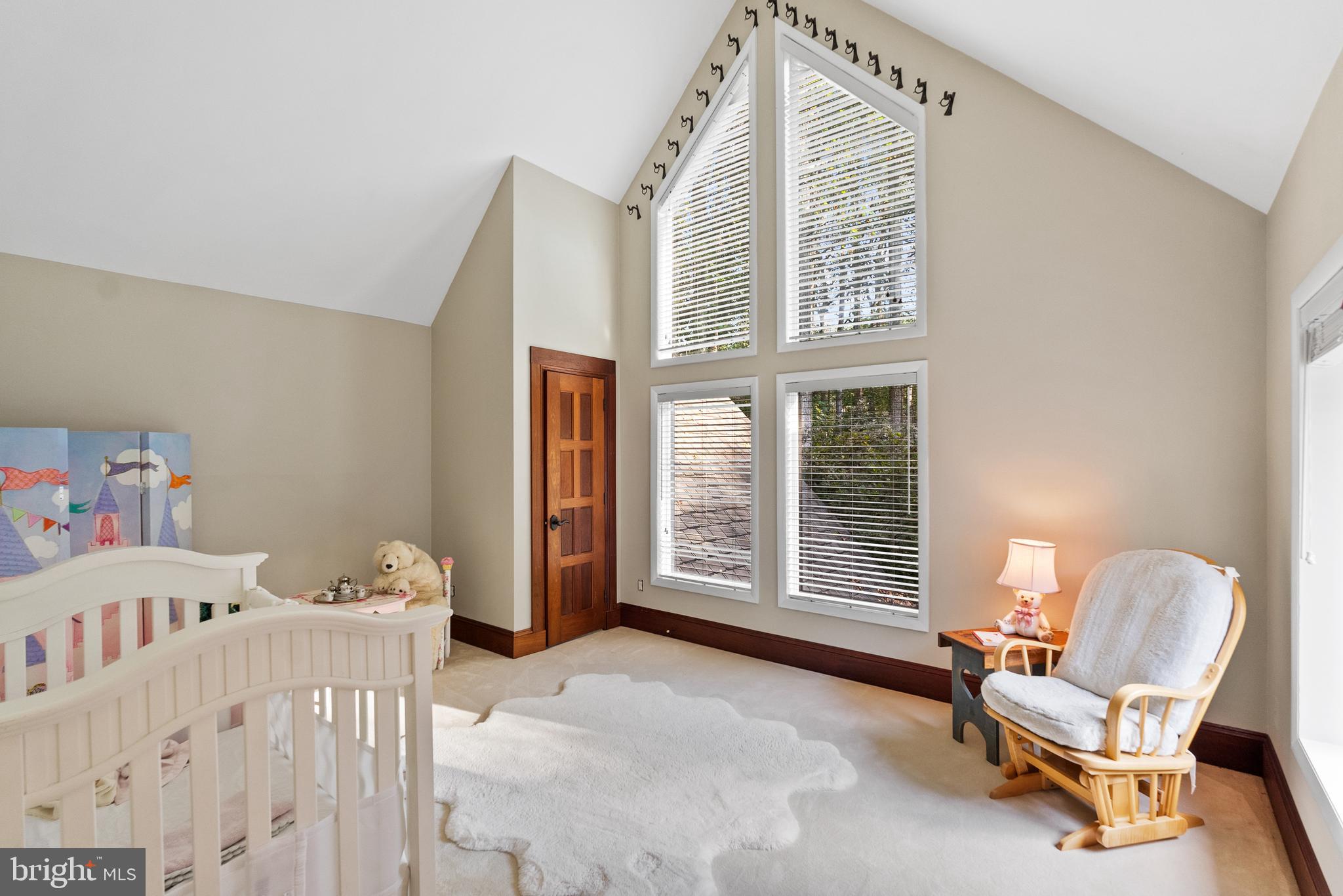 536 Springvale Road Great Falls, VA 22066 - Photo 84 of 139