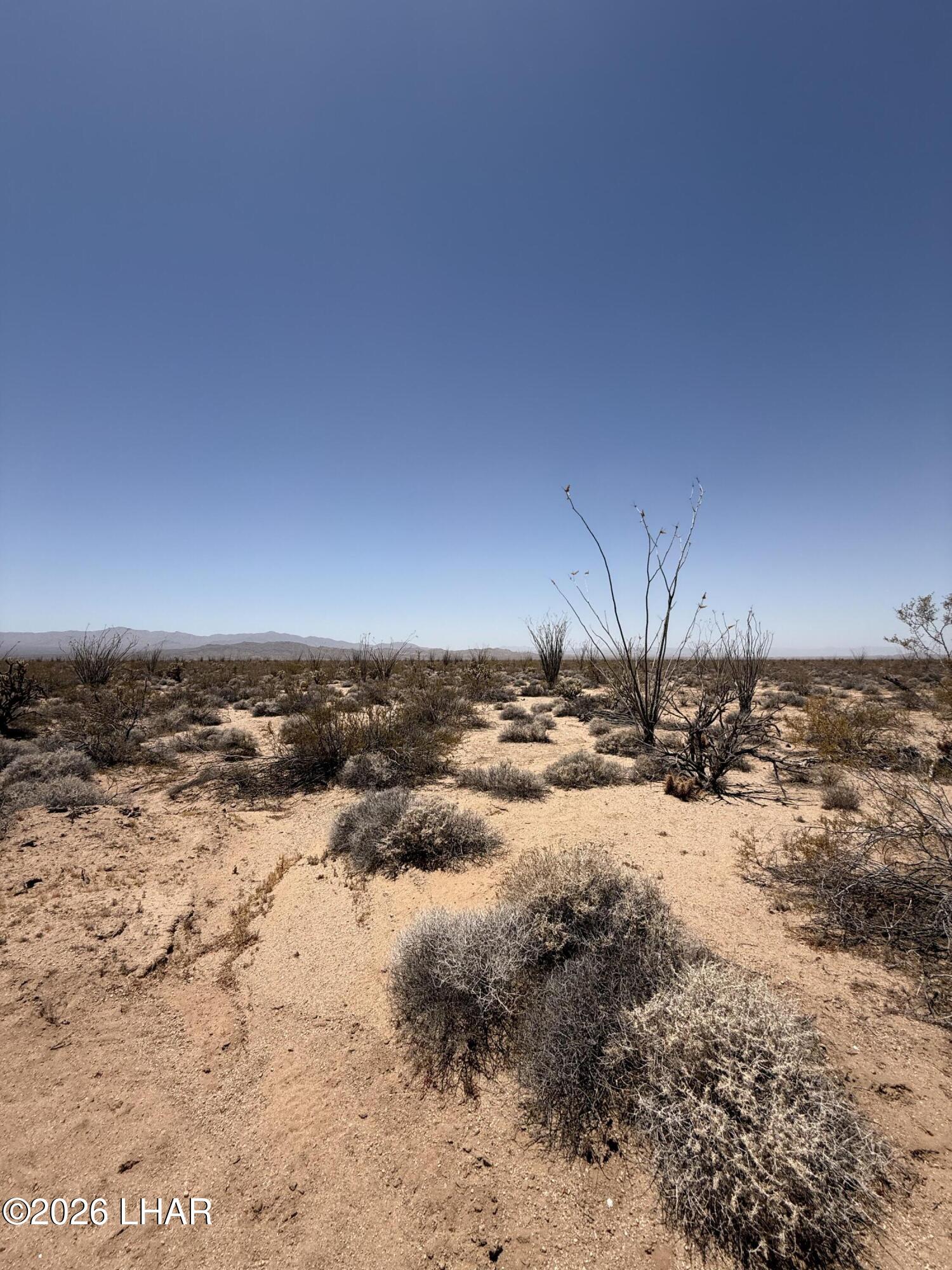 0 South Doc Holliday Road Yucca, AZ 86438 - Photo 3 of 9