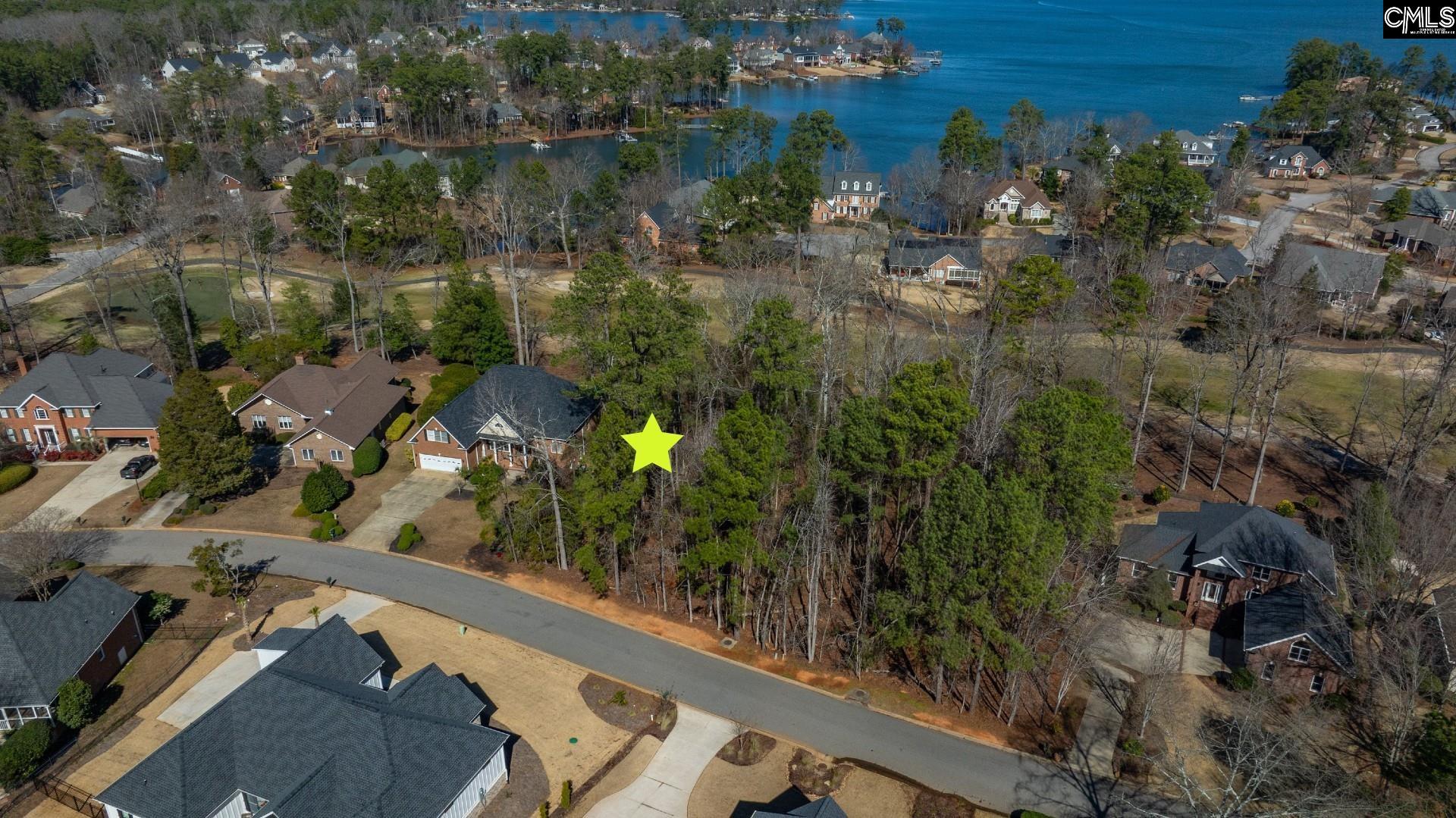 329 Oxenbridge Way Chapin, SC 29036 - Photo 4 of 29