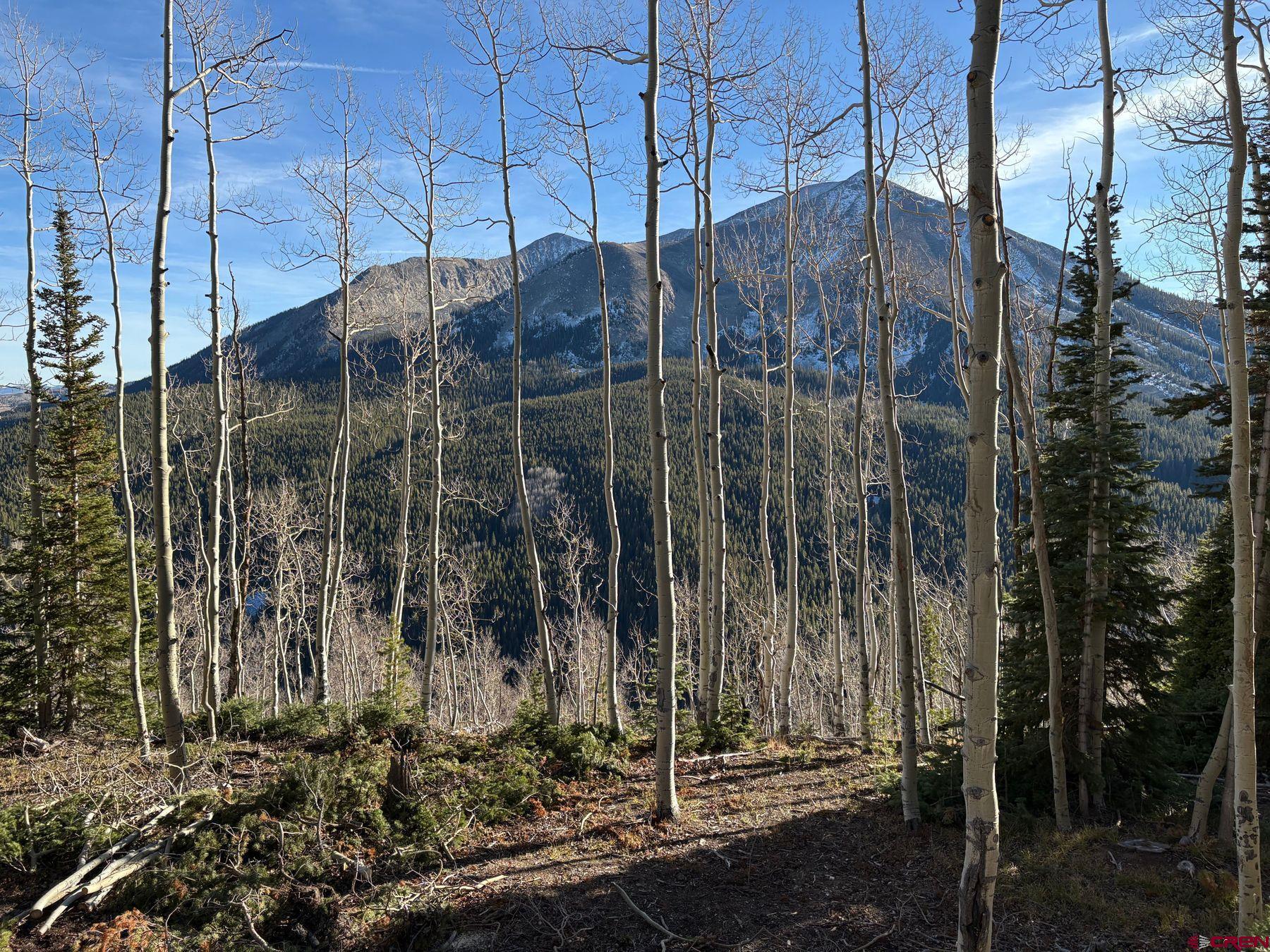 980 Saddle Rdg Road Crested Butte, CO 81224 - Photo 2 of 45 Gallery Image 2