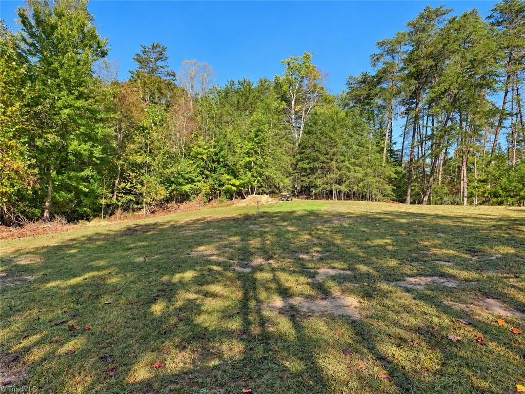 1198 Jackson Road, Unit 17 Westfield, NC 27053 - Photo 32 of 50 Gallery Image 32