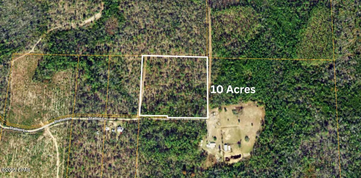 0 Stallion Lane Marianna, FL 32448 - Photo 1 of 10